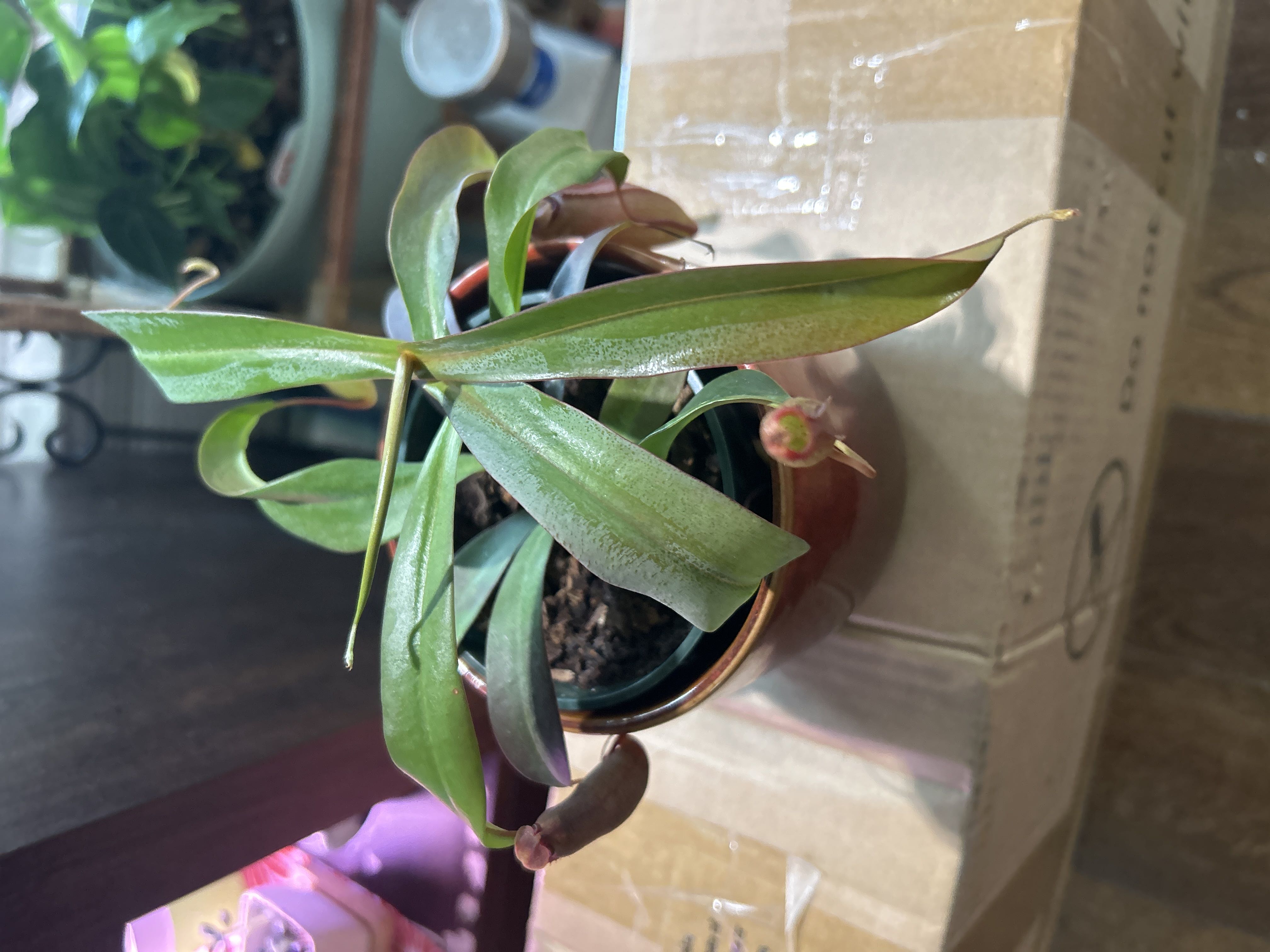 Photo from the post