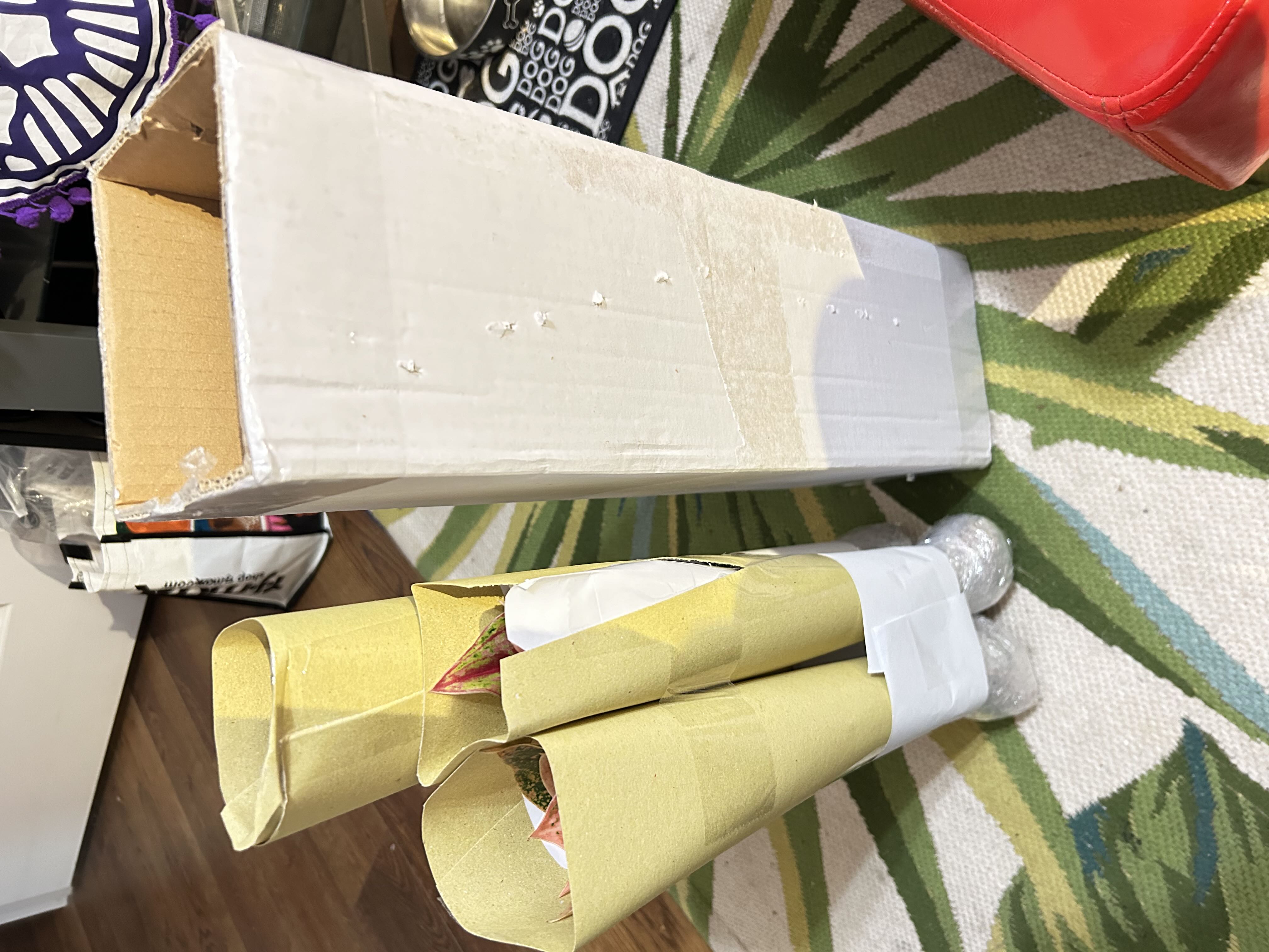 Photo from the post