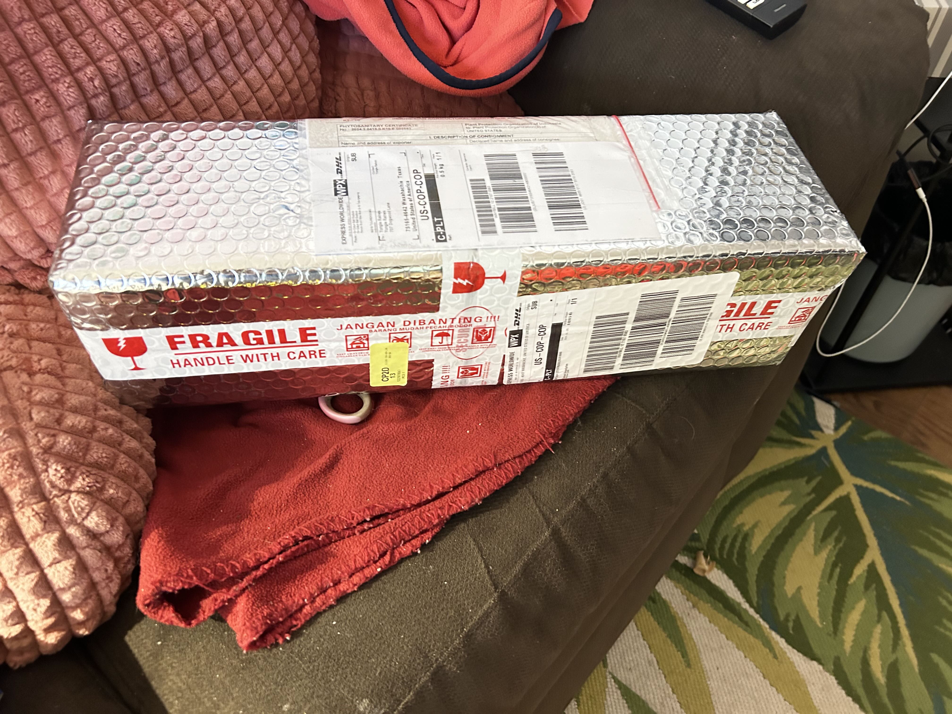 Photo from the post