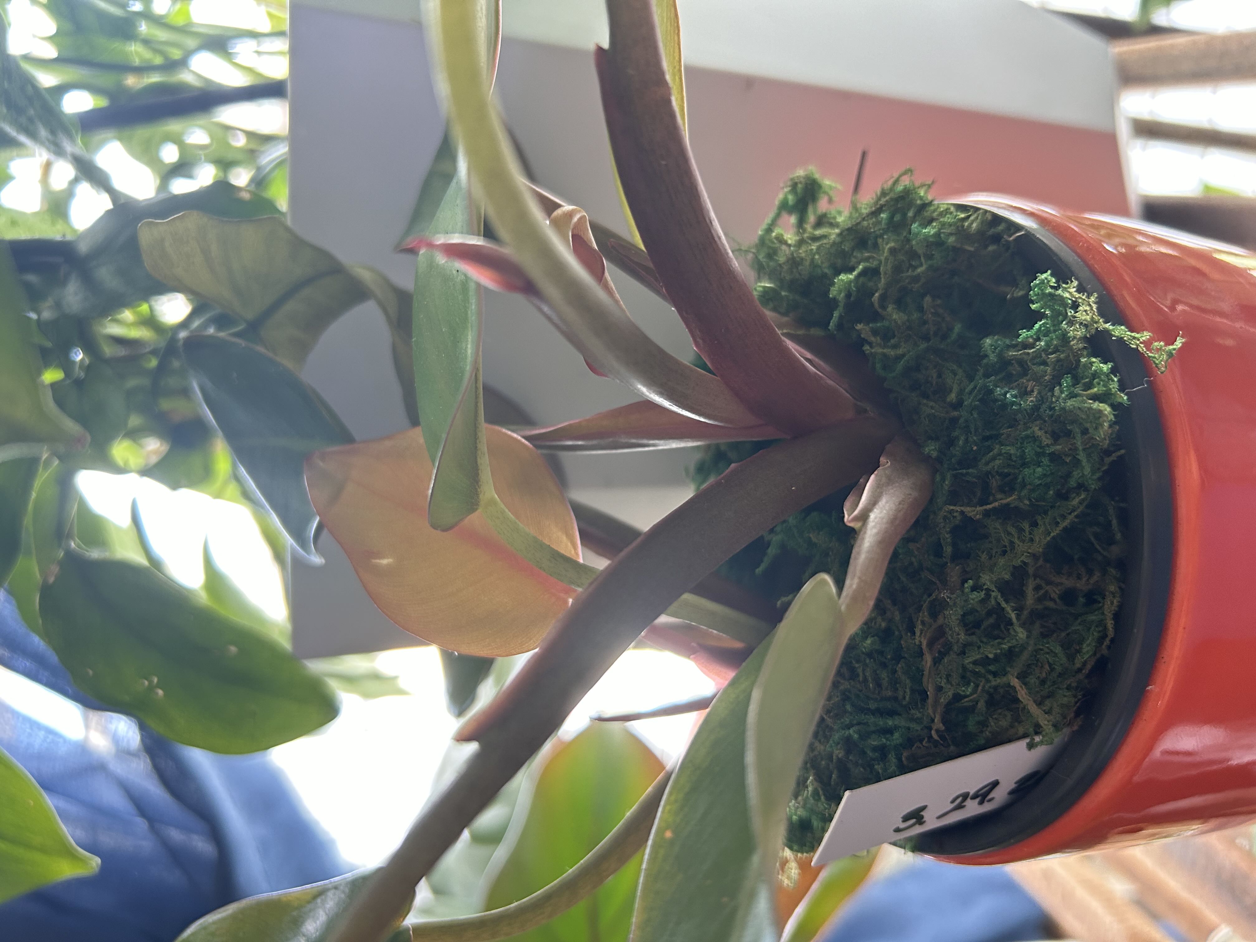 Photo from the post