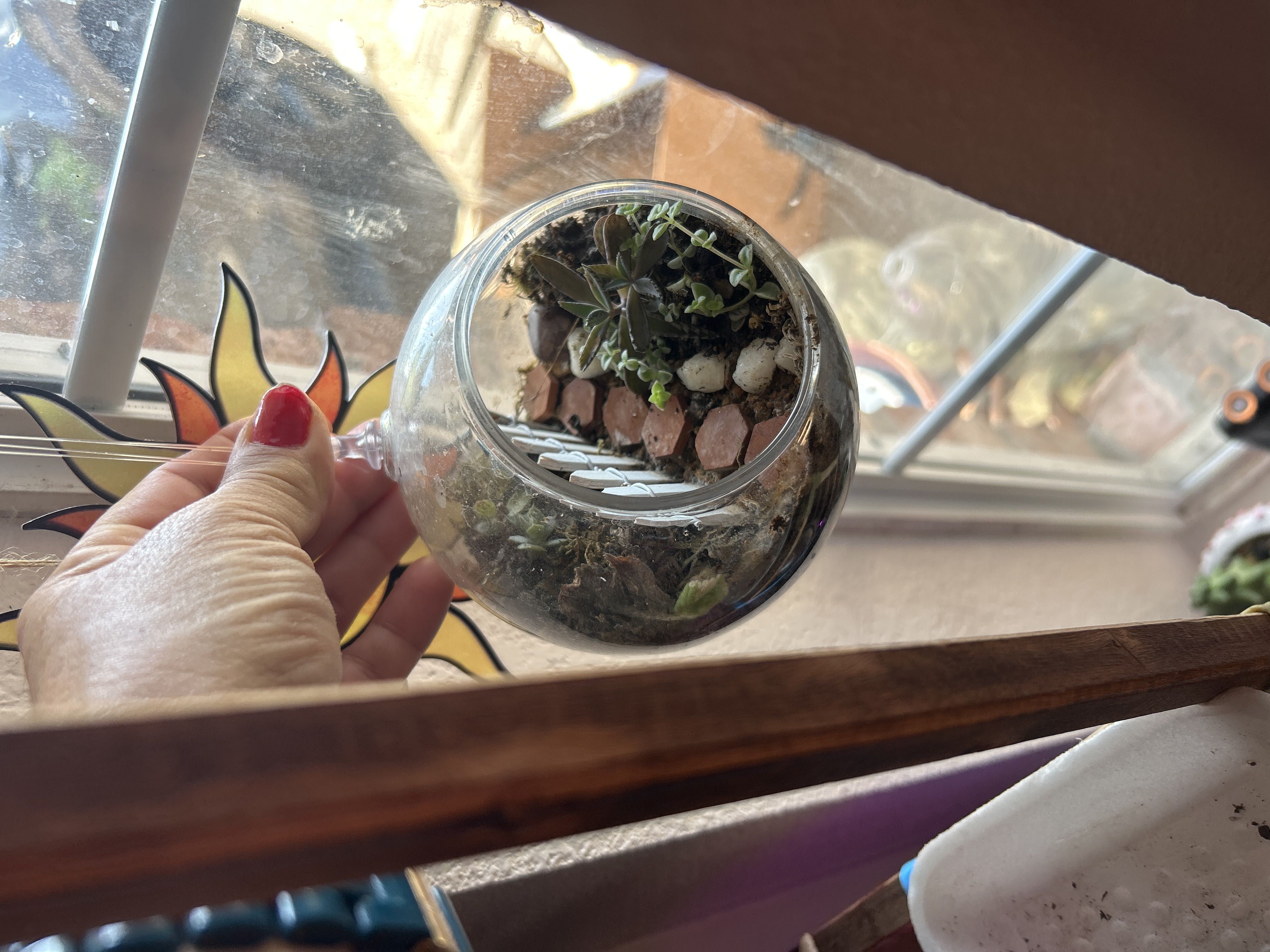 Photo from the post