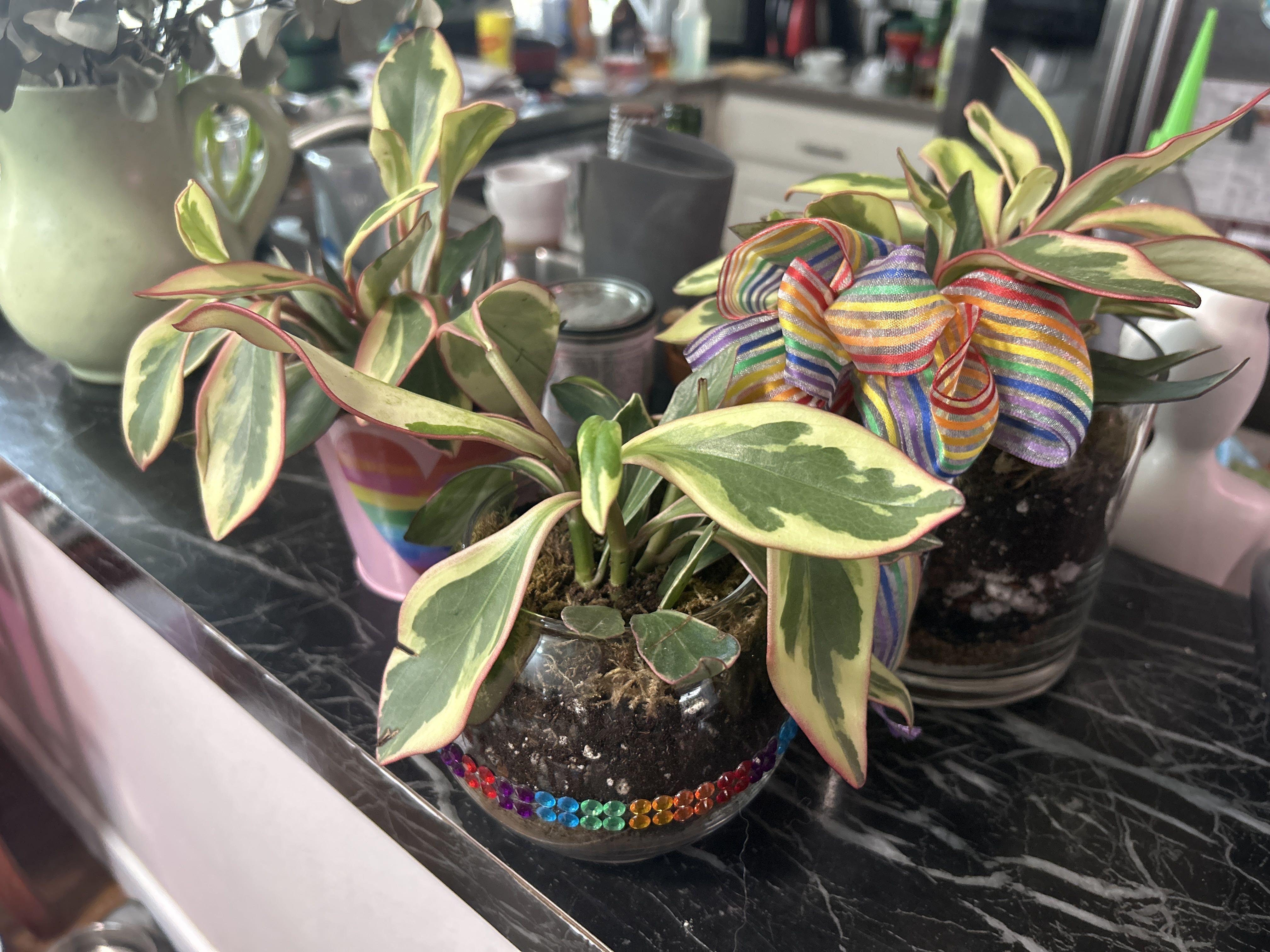 Photo from the post
