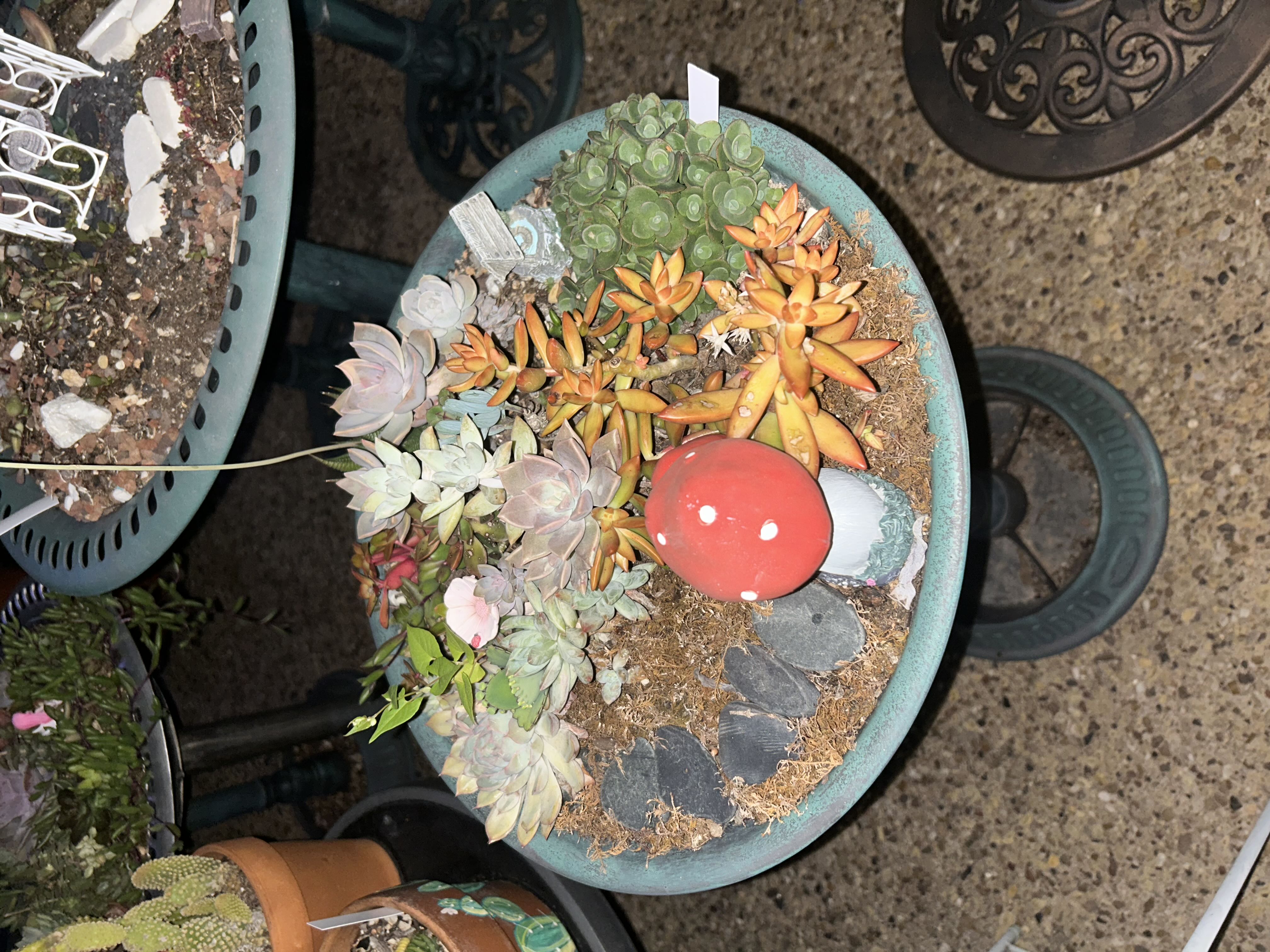 Photo from the post
