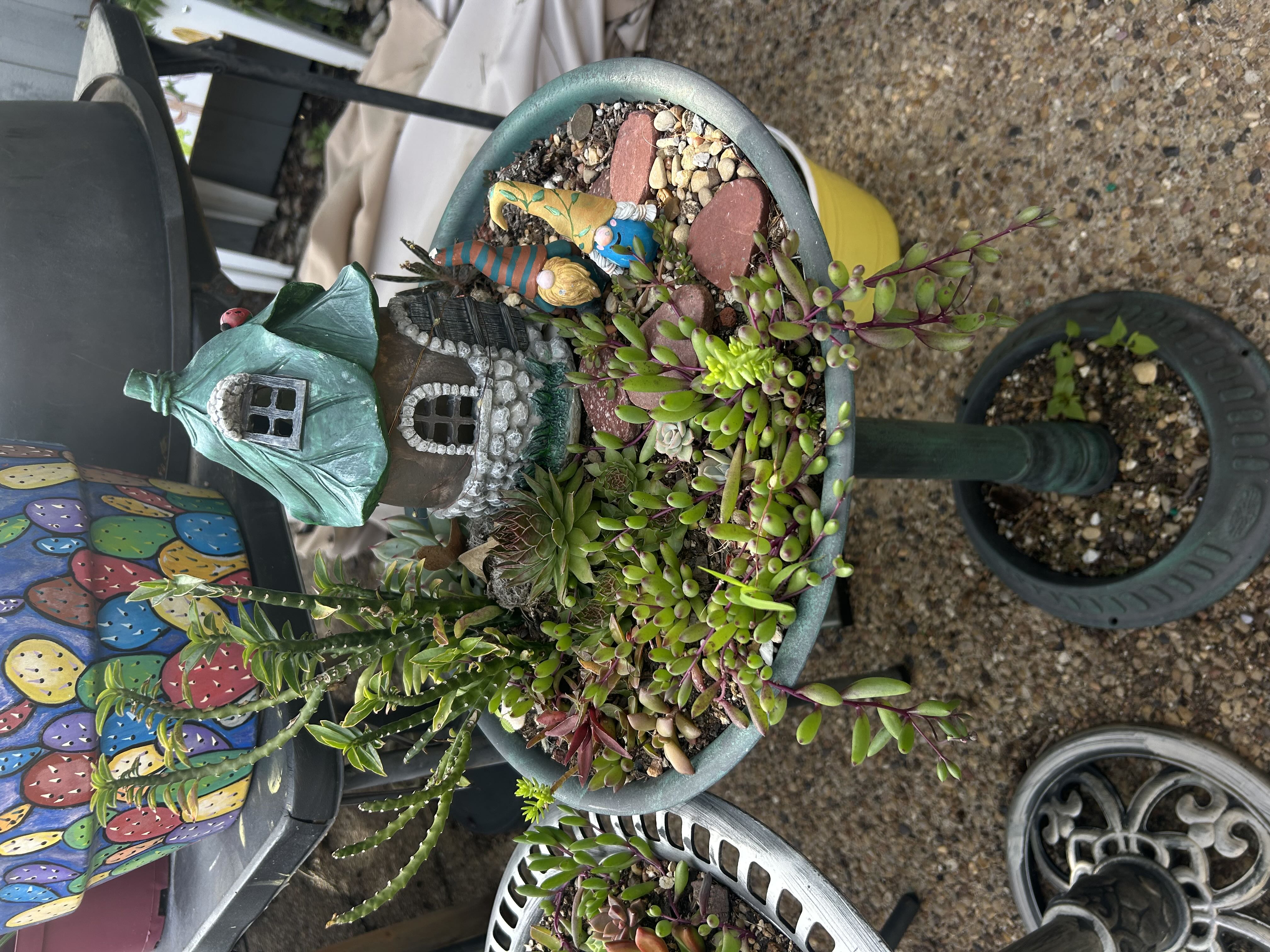 Photo from the post