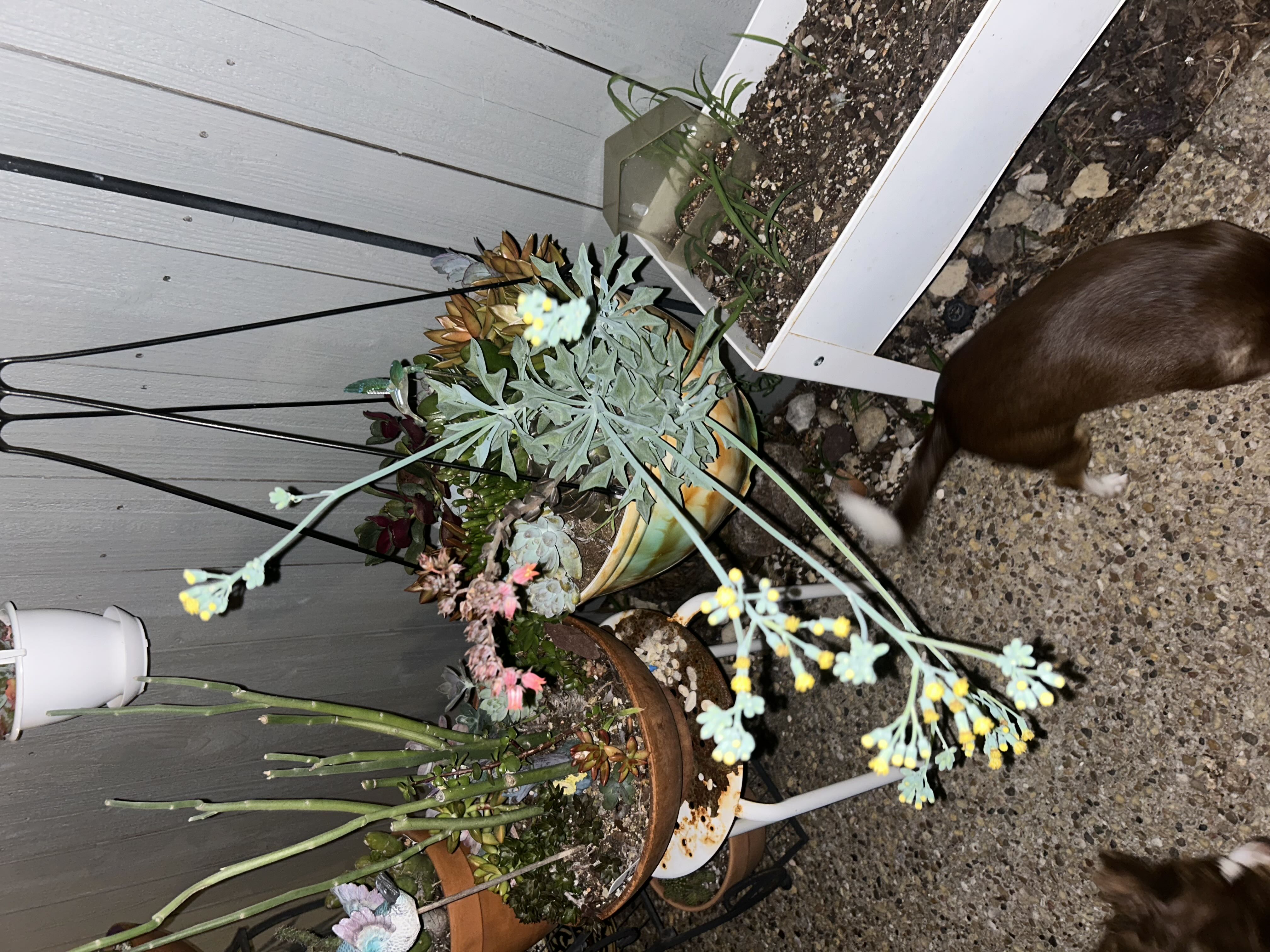 Photo from the post