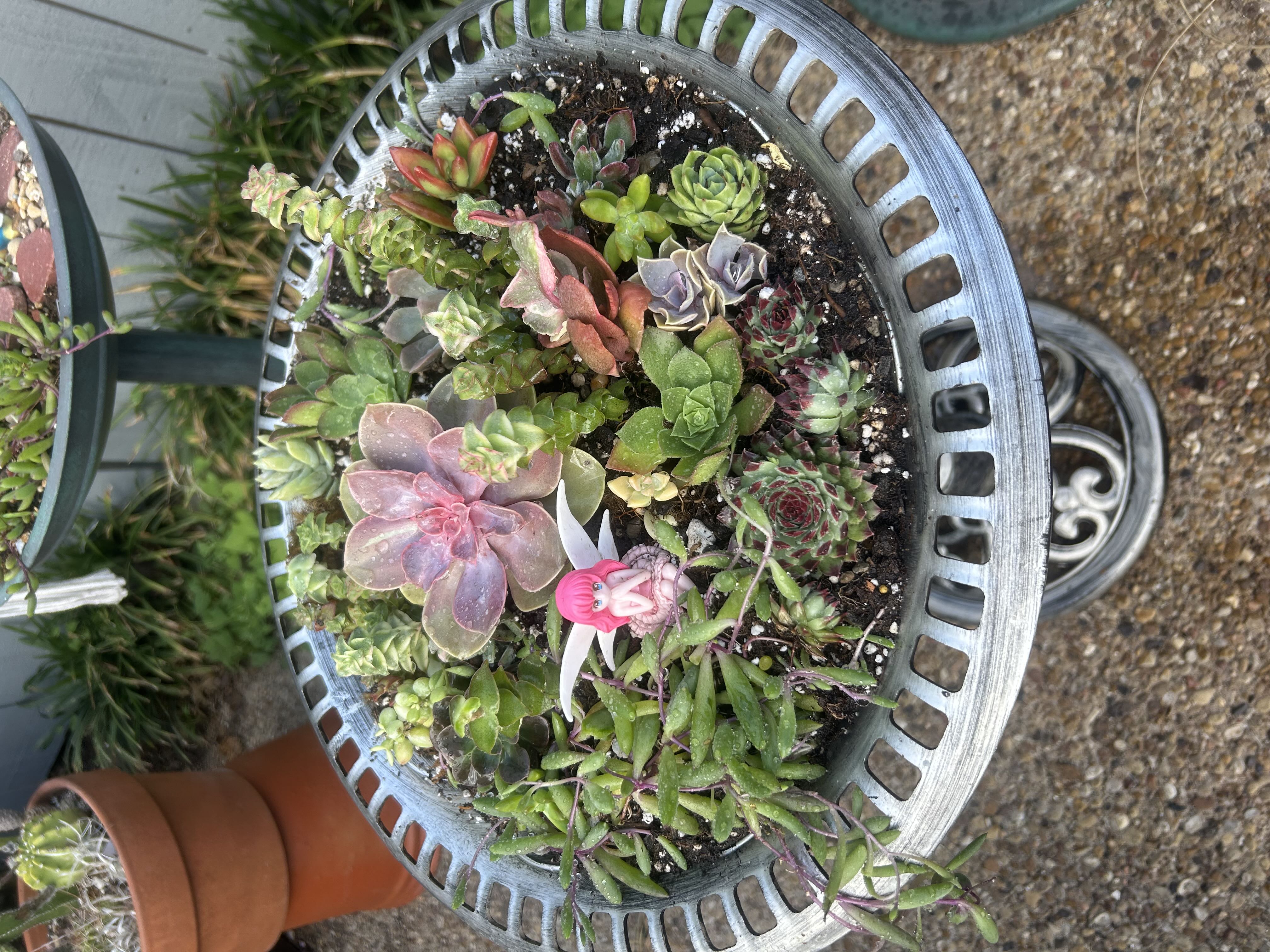 Photo from the post