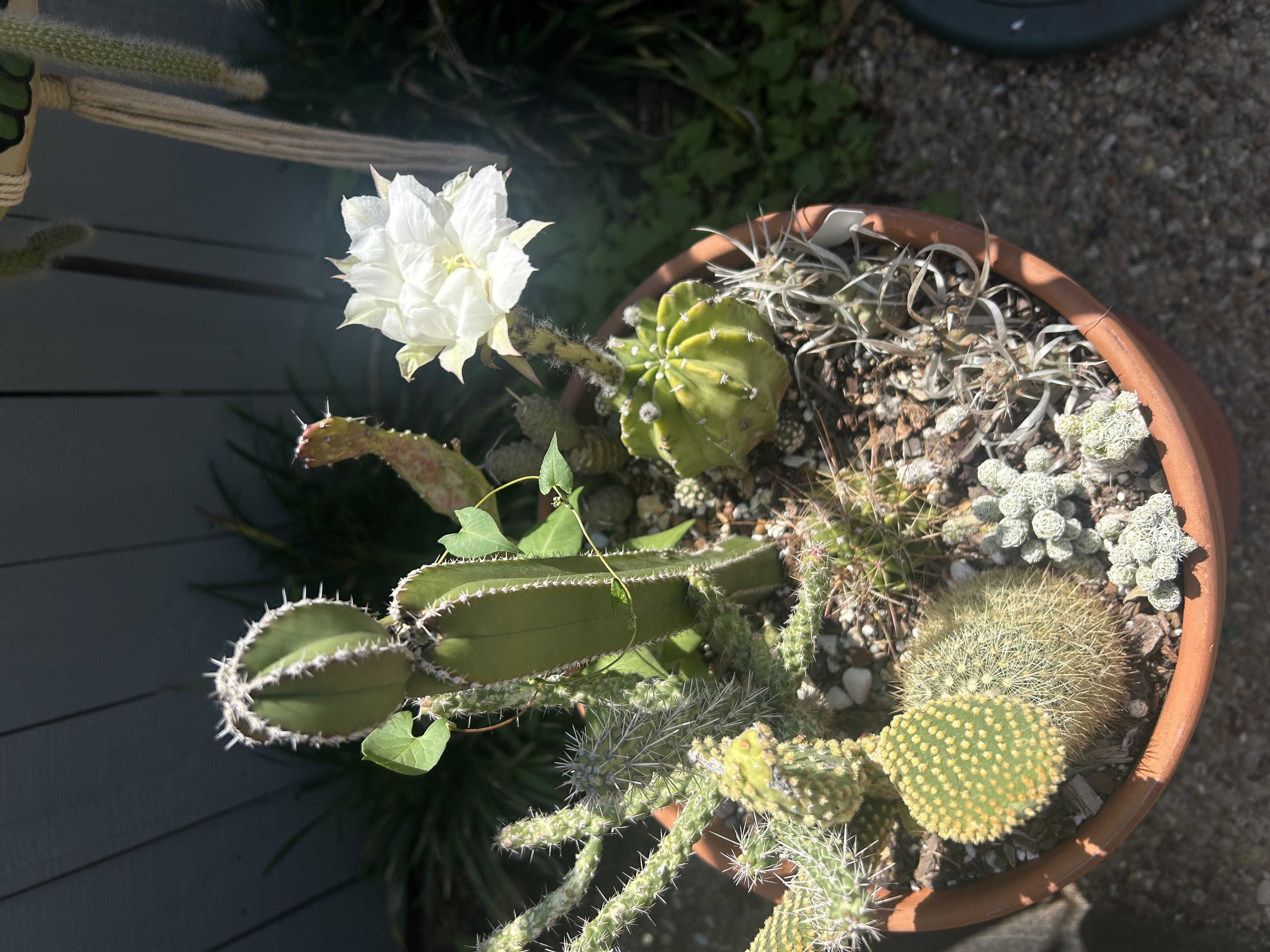 Photo from the post