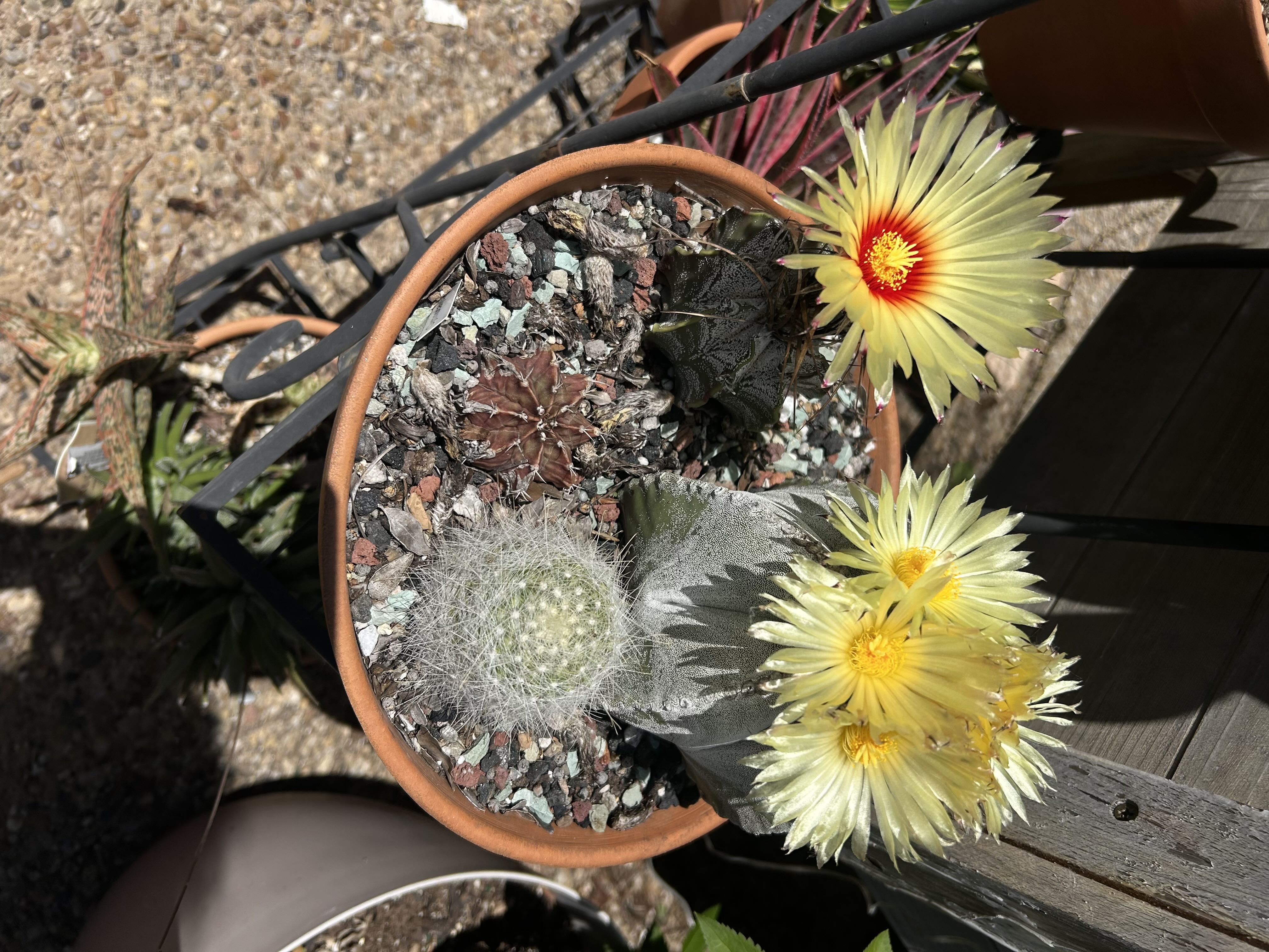 Photo from the post