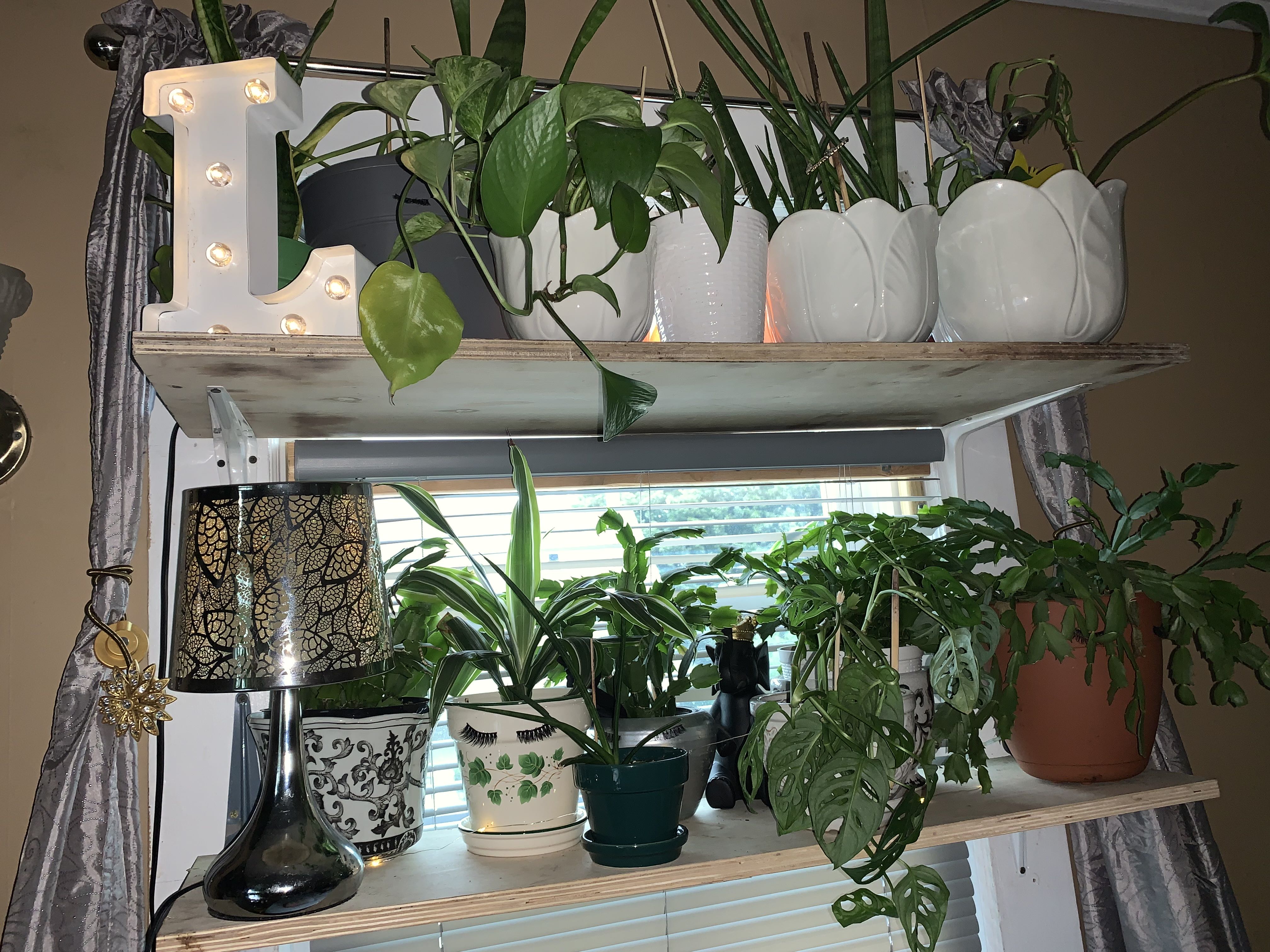 Photo from the post