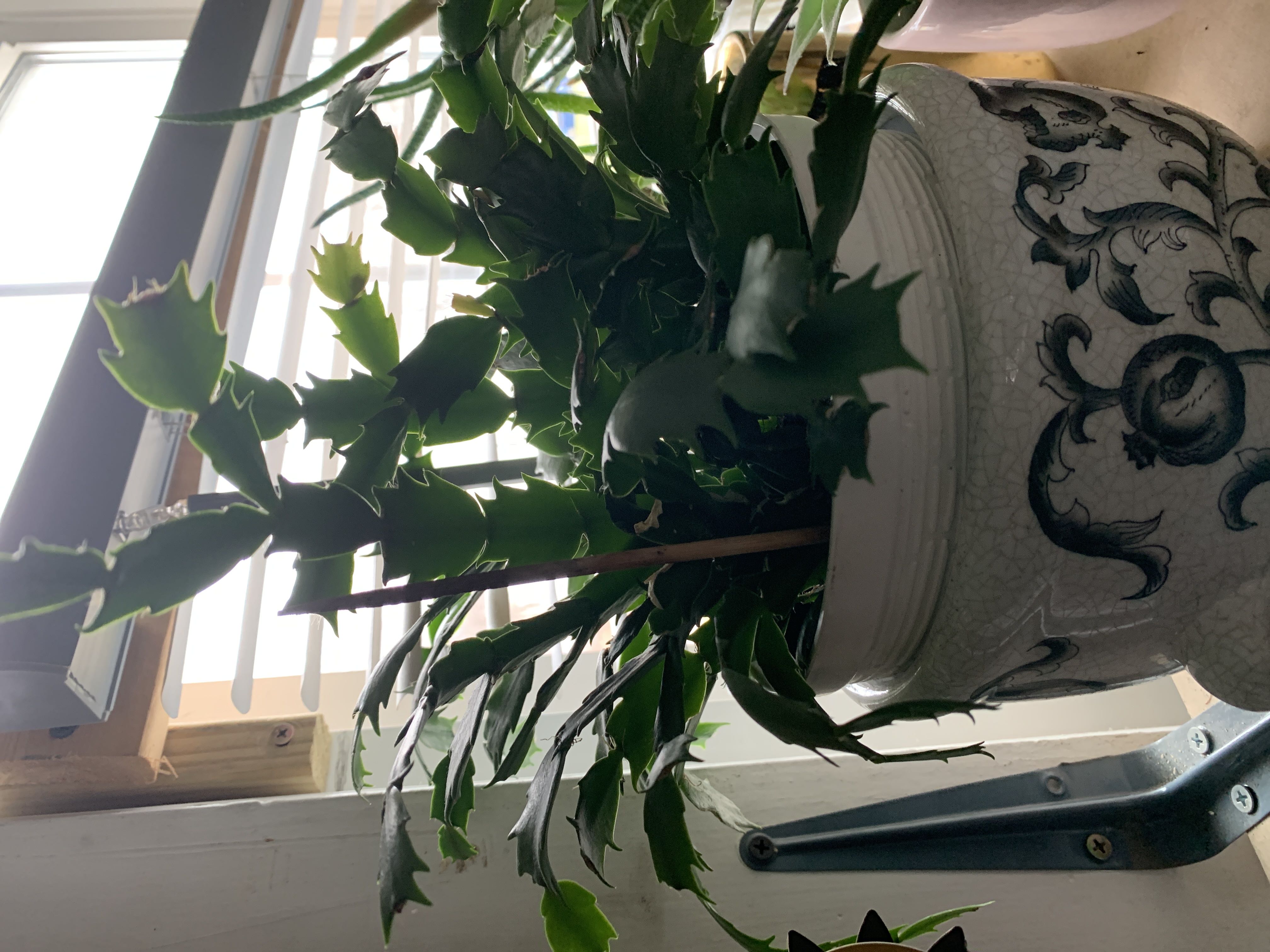 Photo from the post