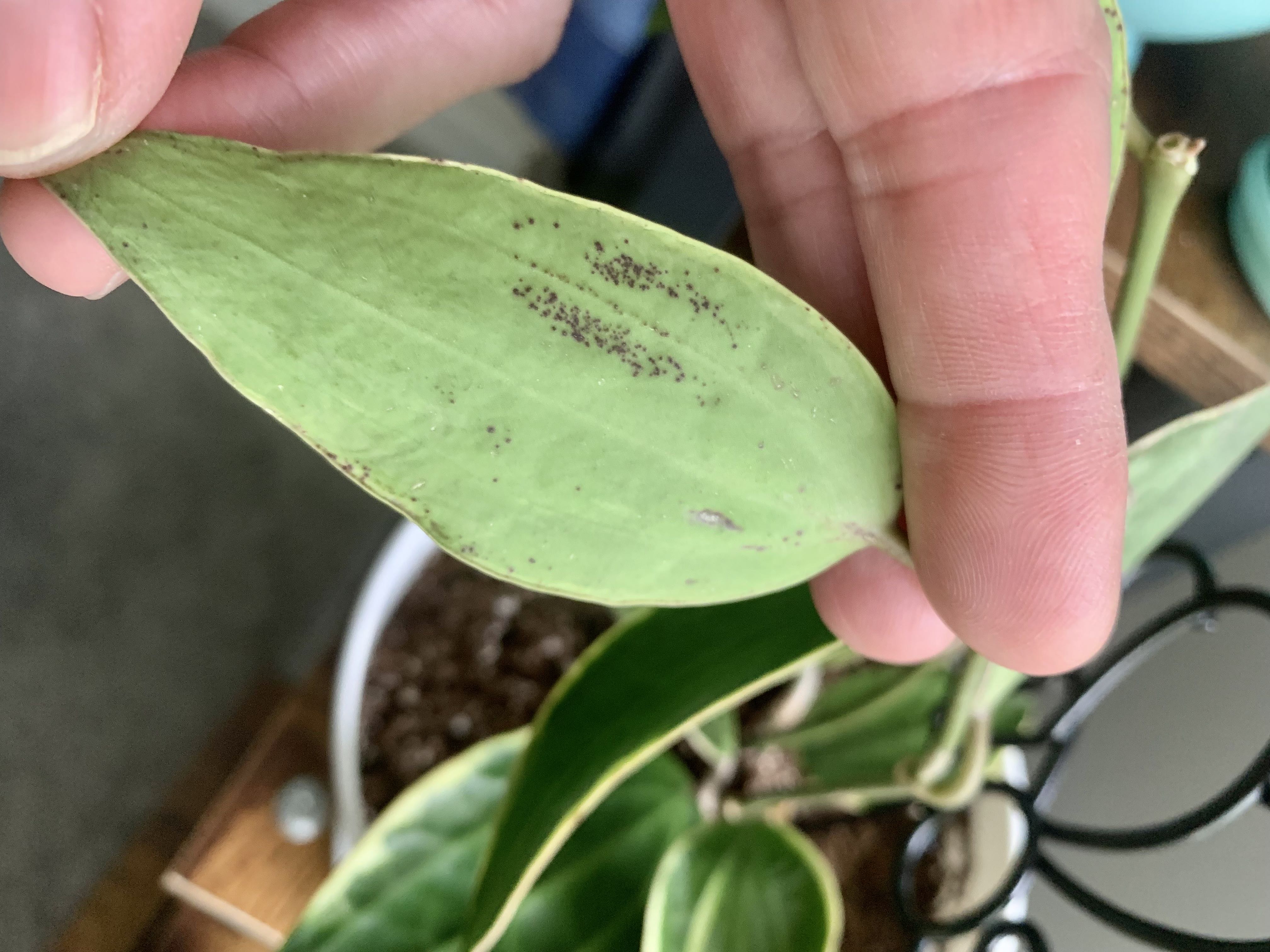 Photo from the post