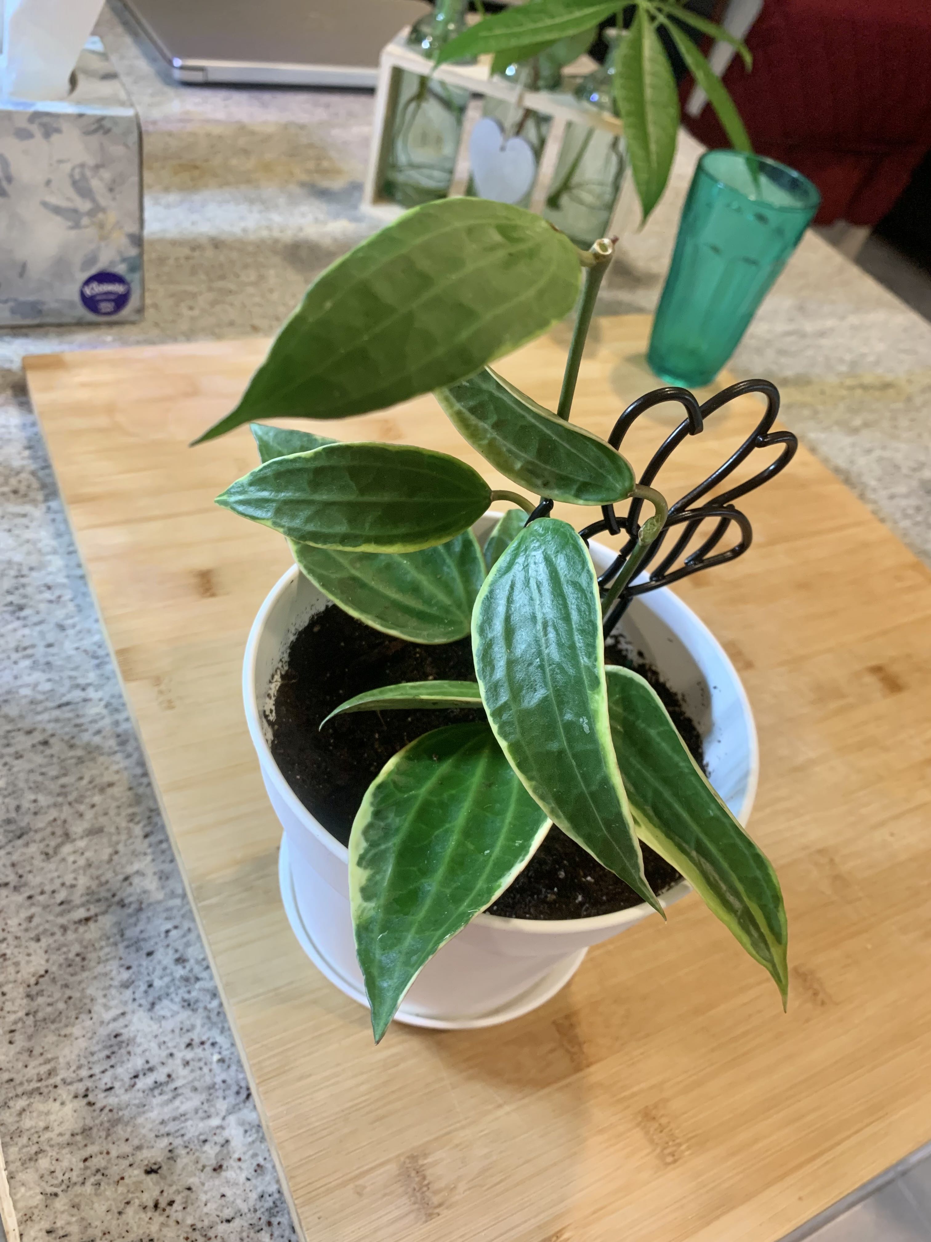 Photo from the post