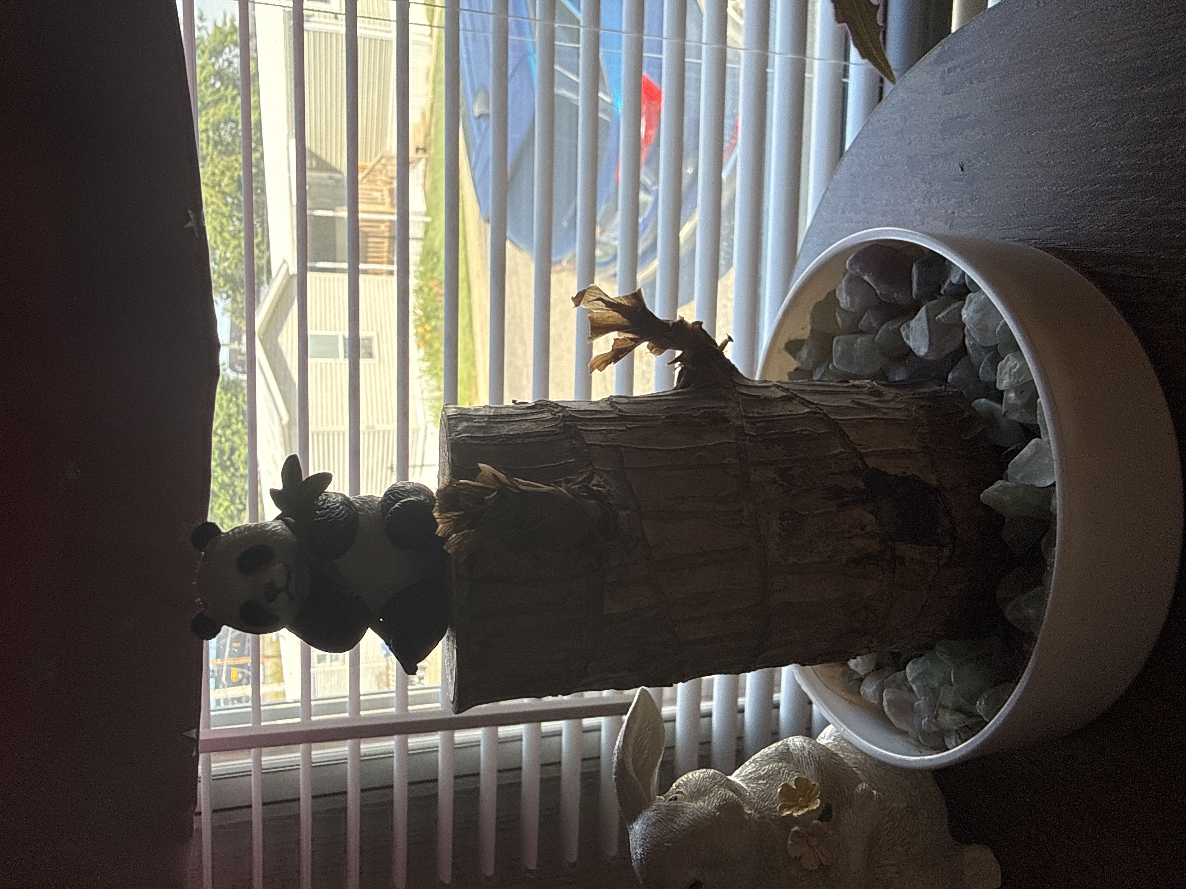 Photo from the post