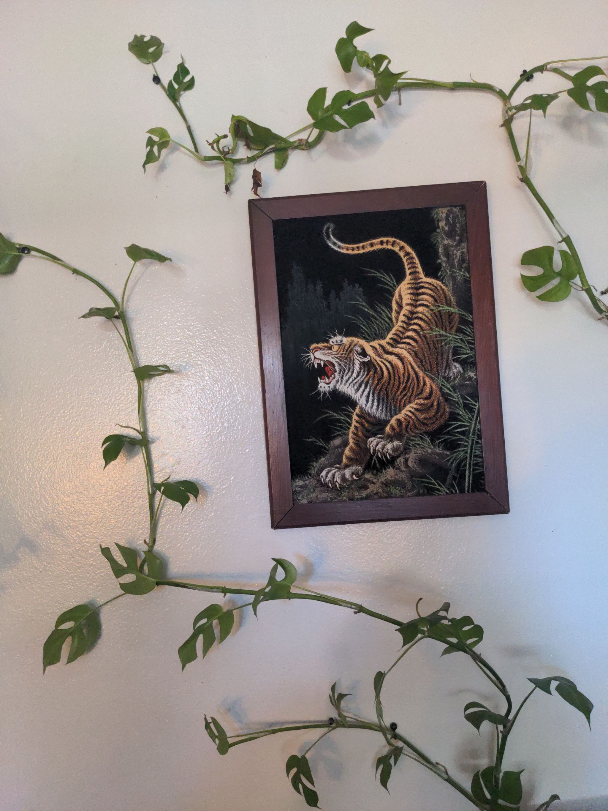 Photo from the post