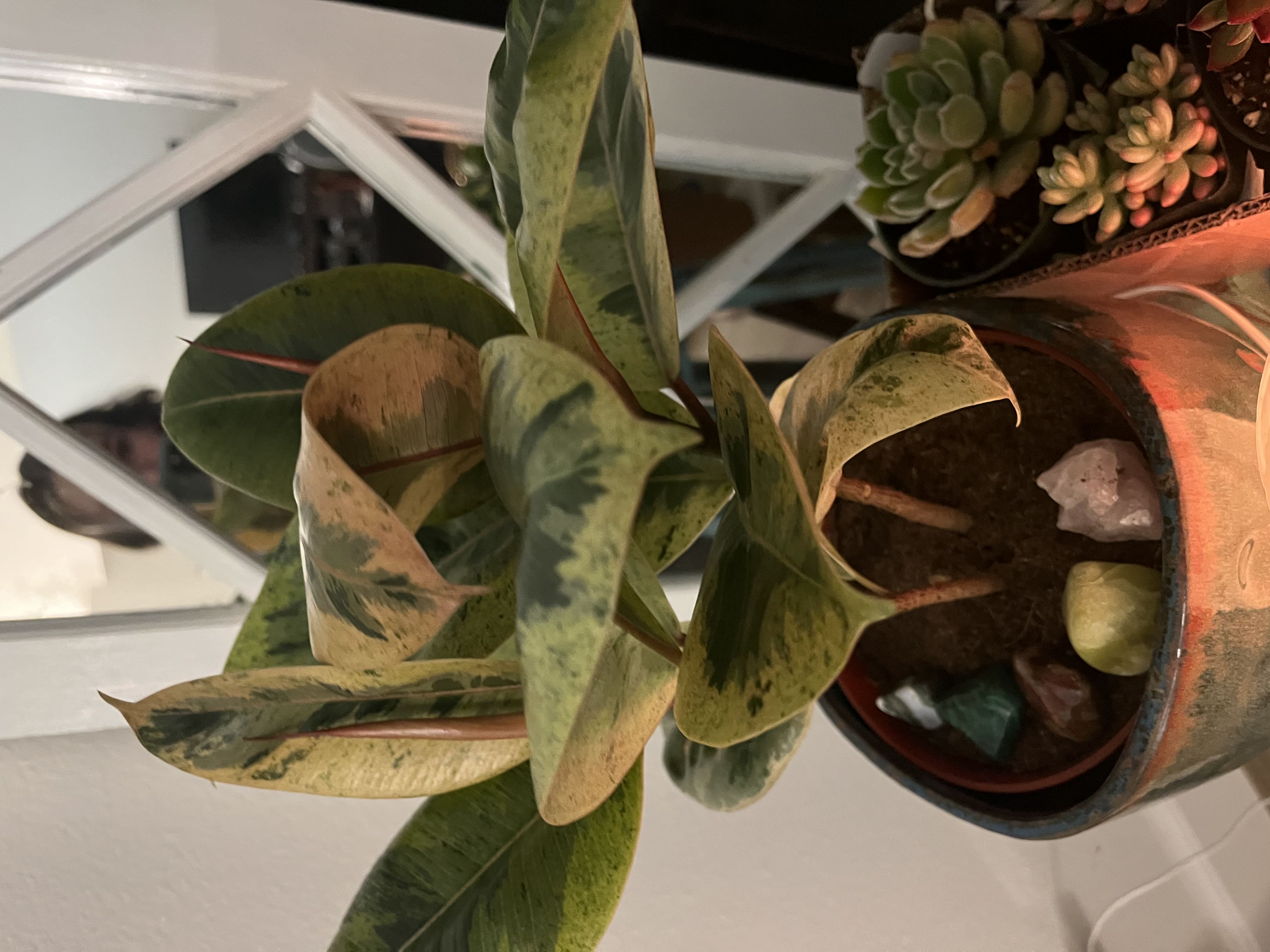 Photo from the post