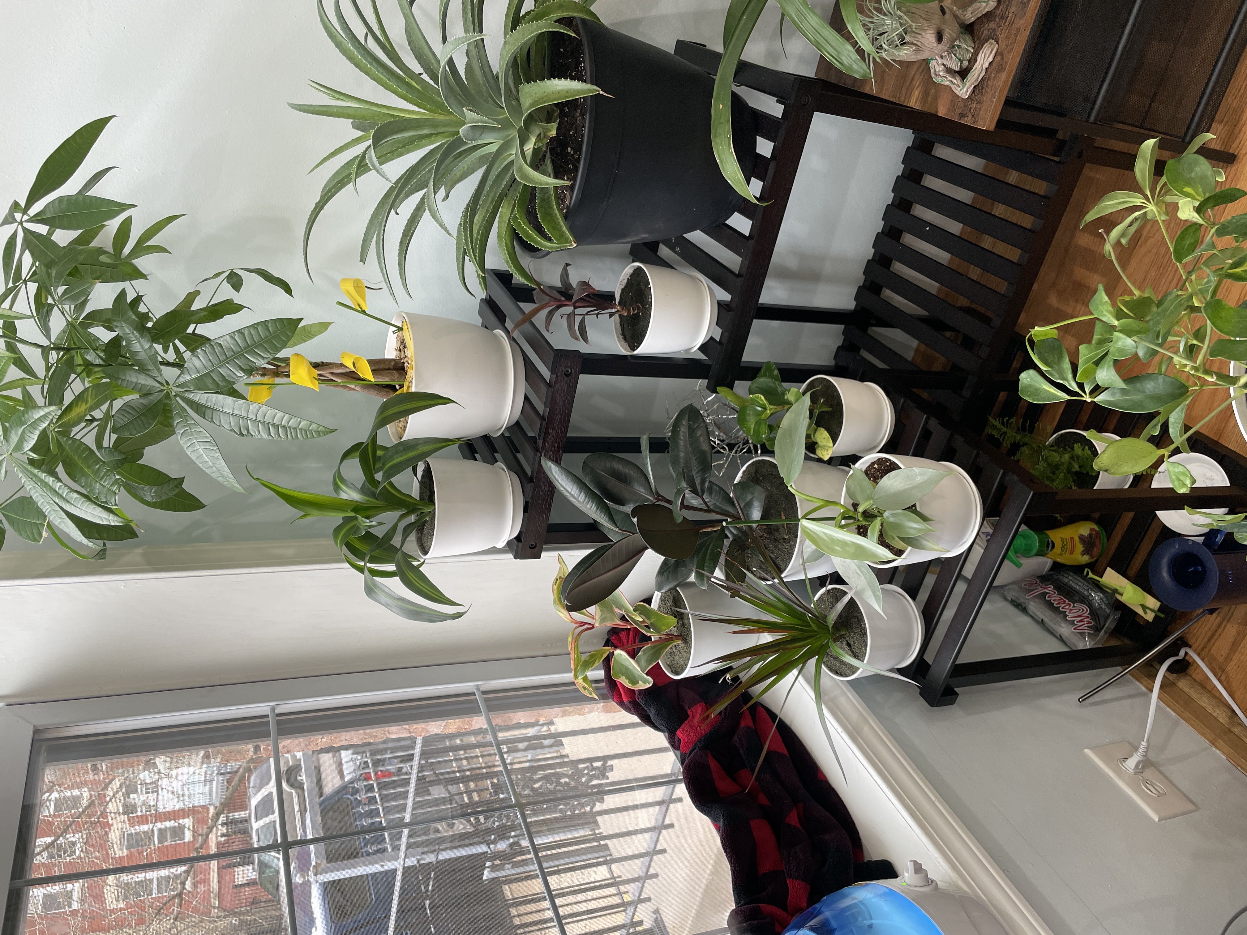 Photo from the post