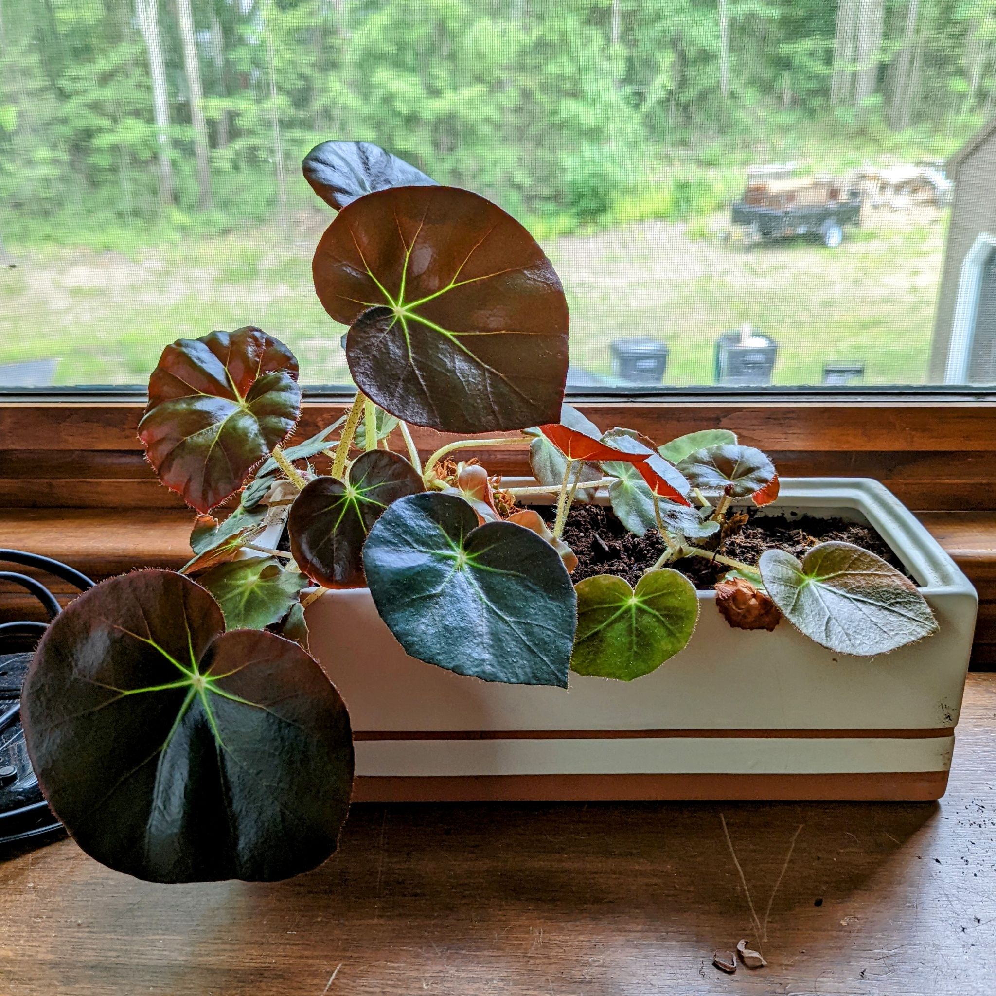 Photo from the post