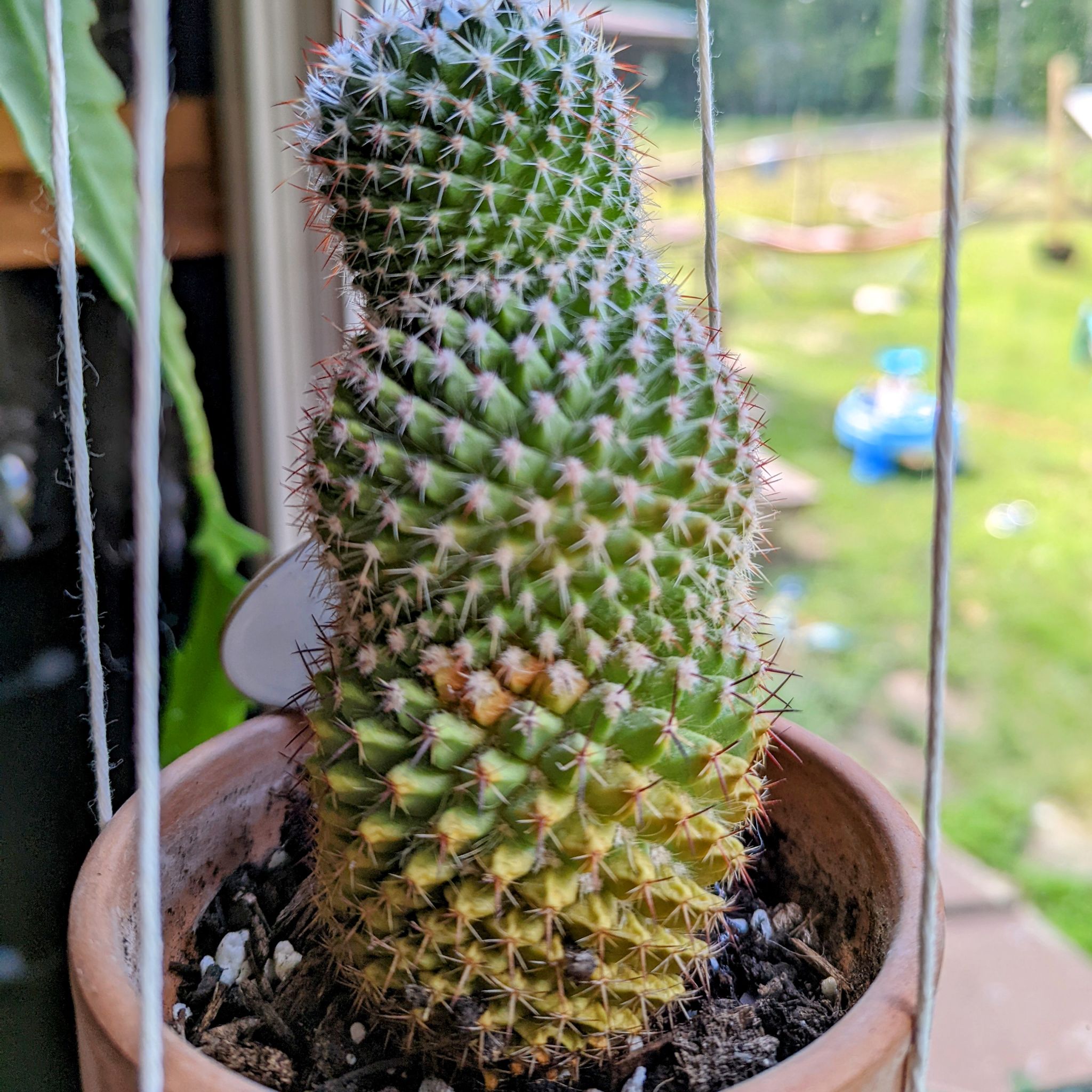 Photo from the post