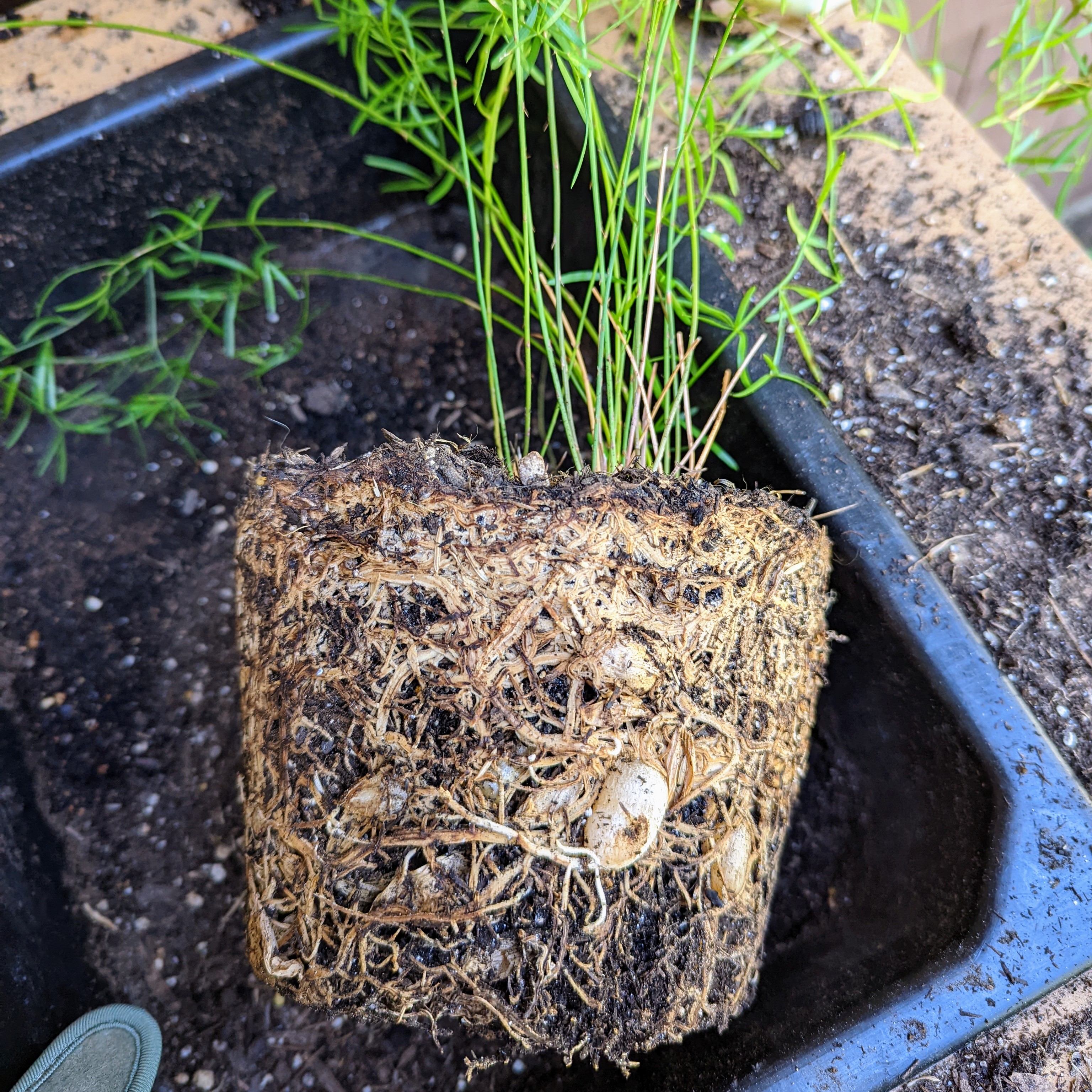 Photo from the post