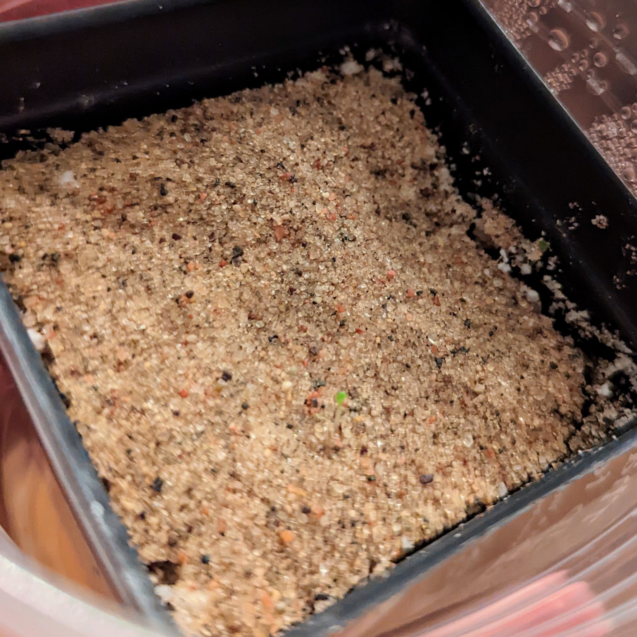 Photo from the post
