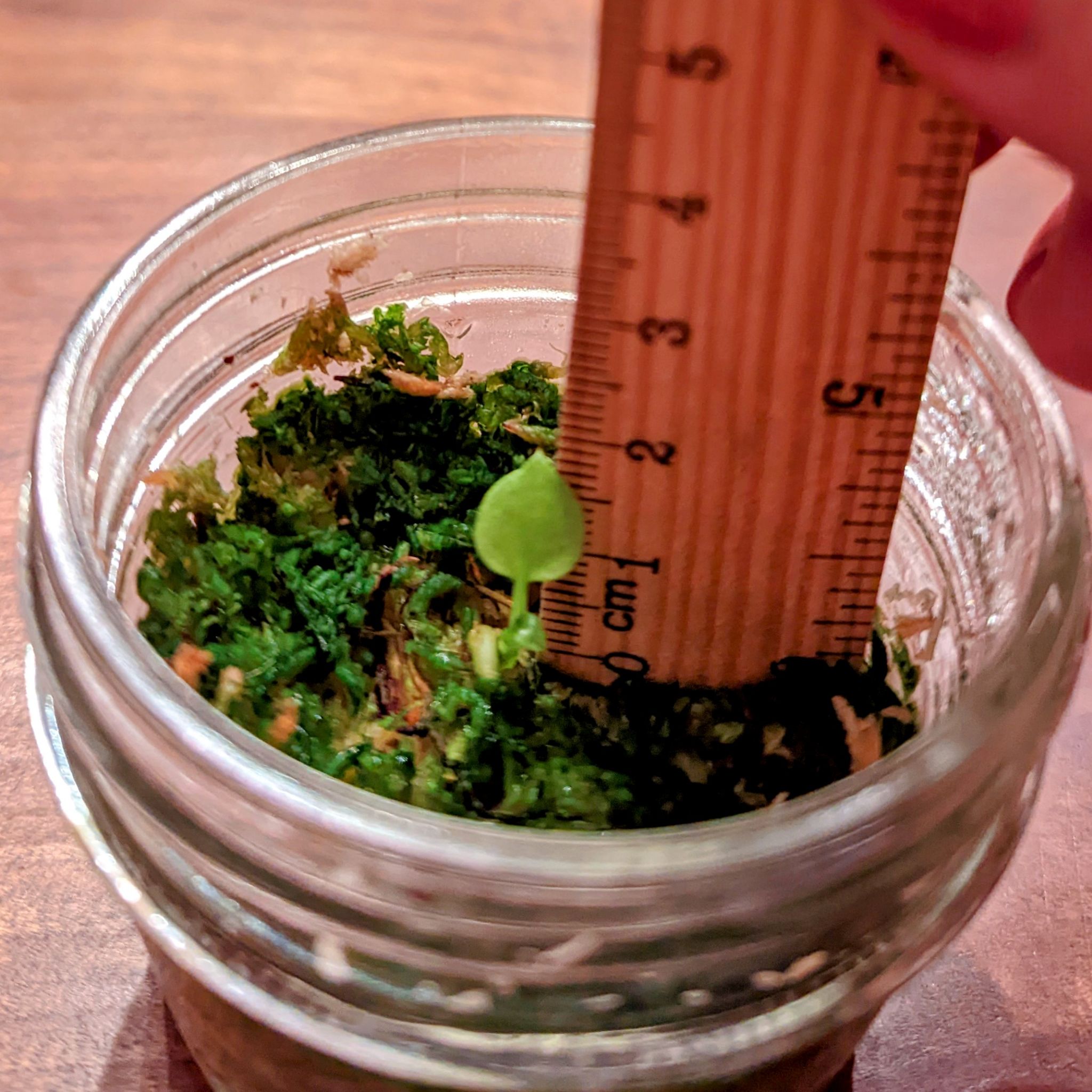 Photo from the post
