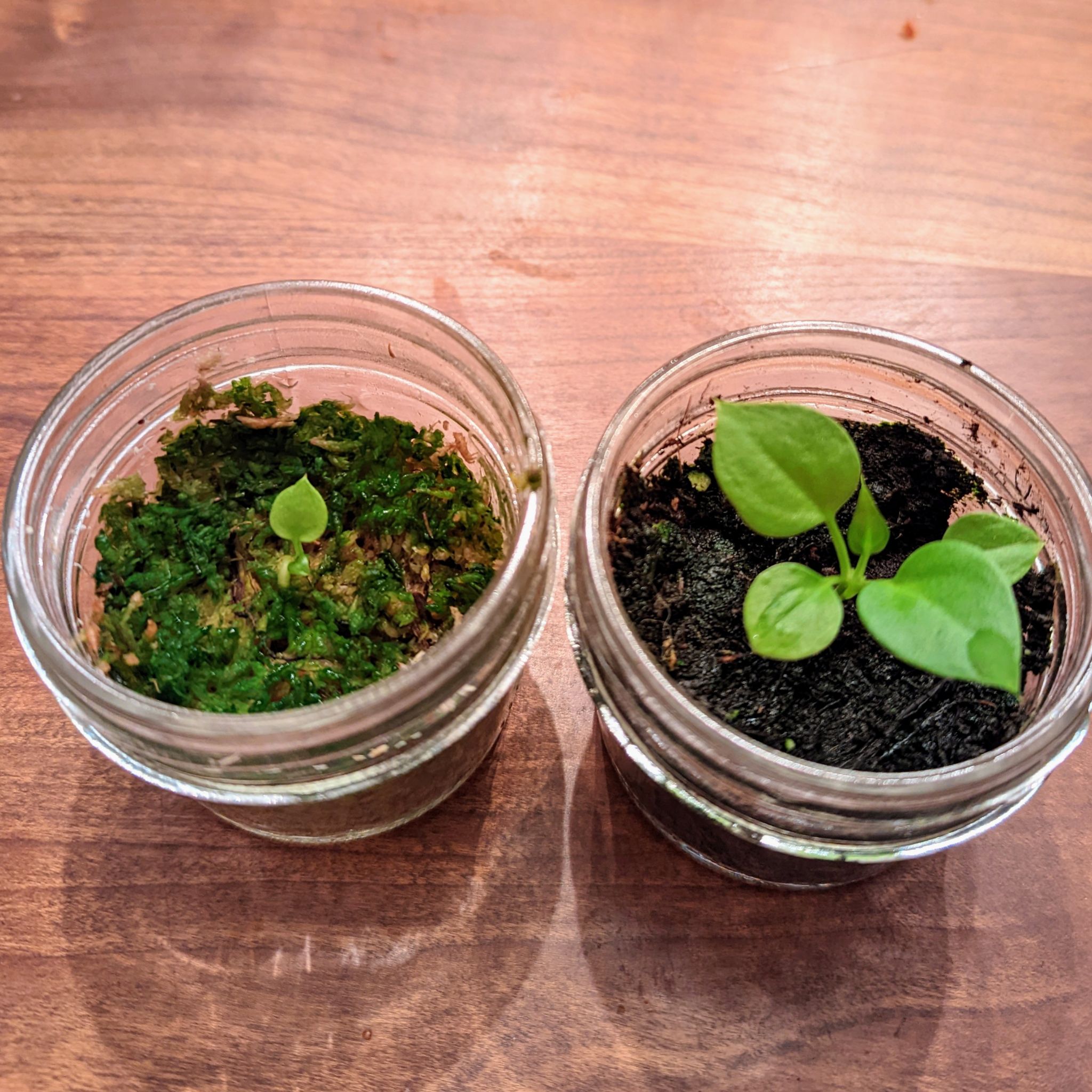Photo from the post