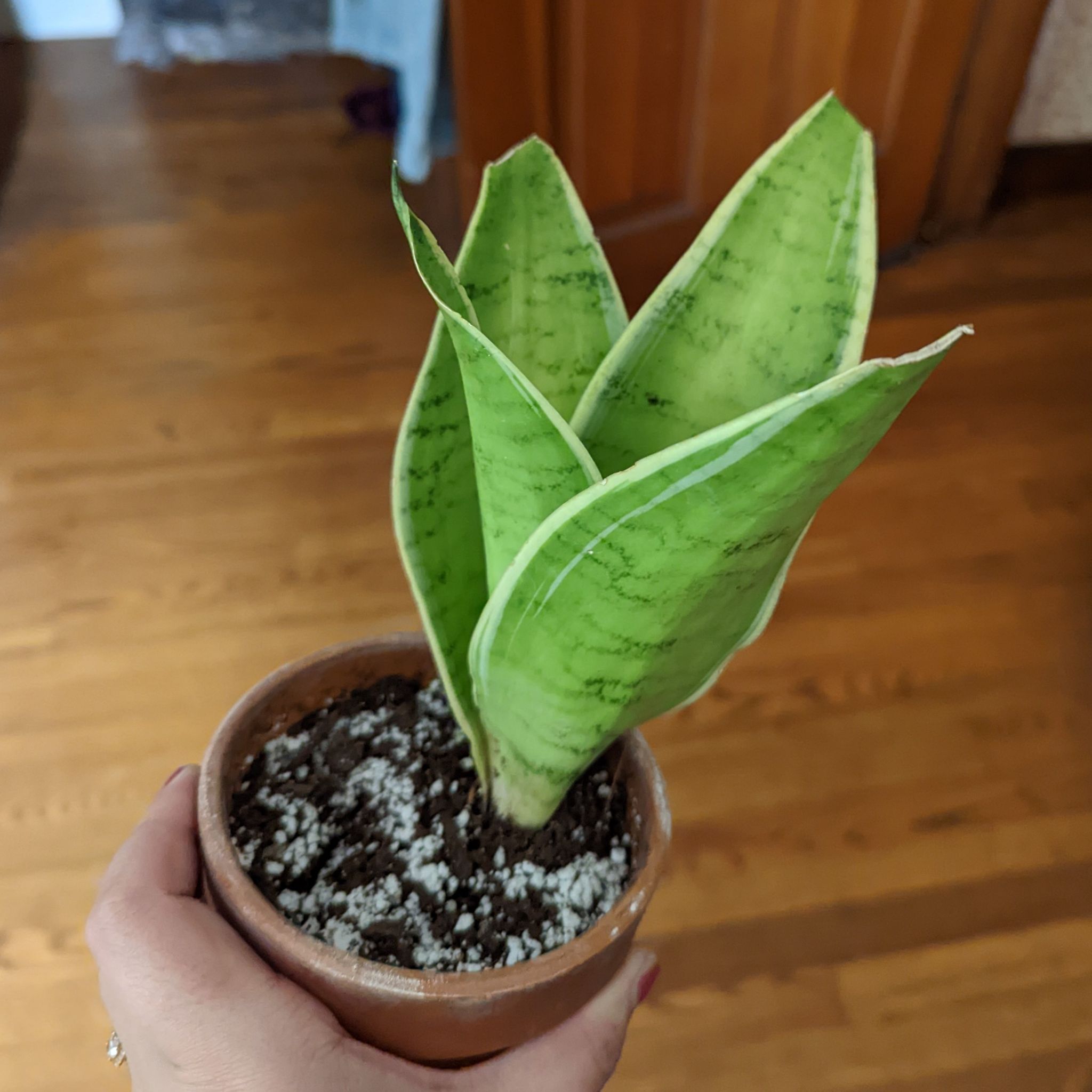 Photo from the post