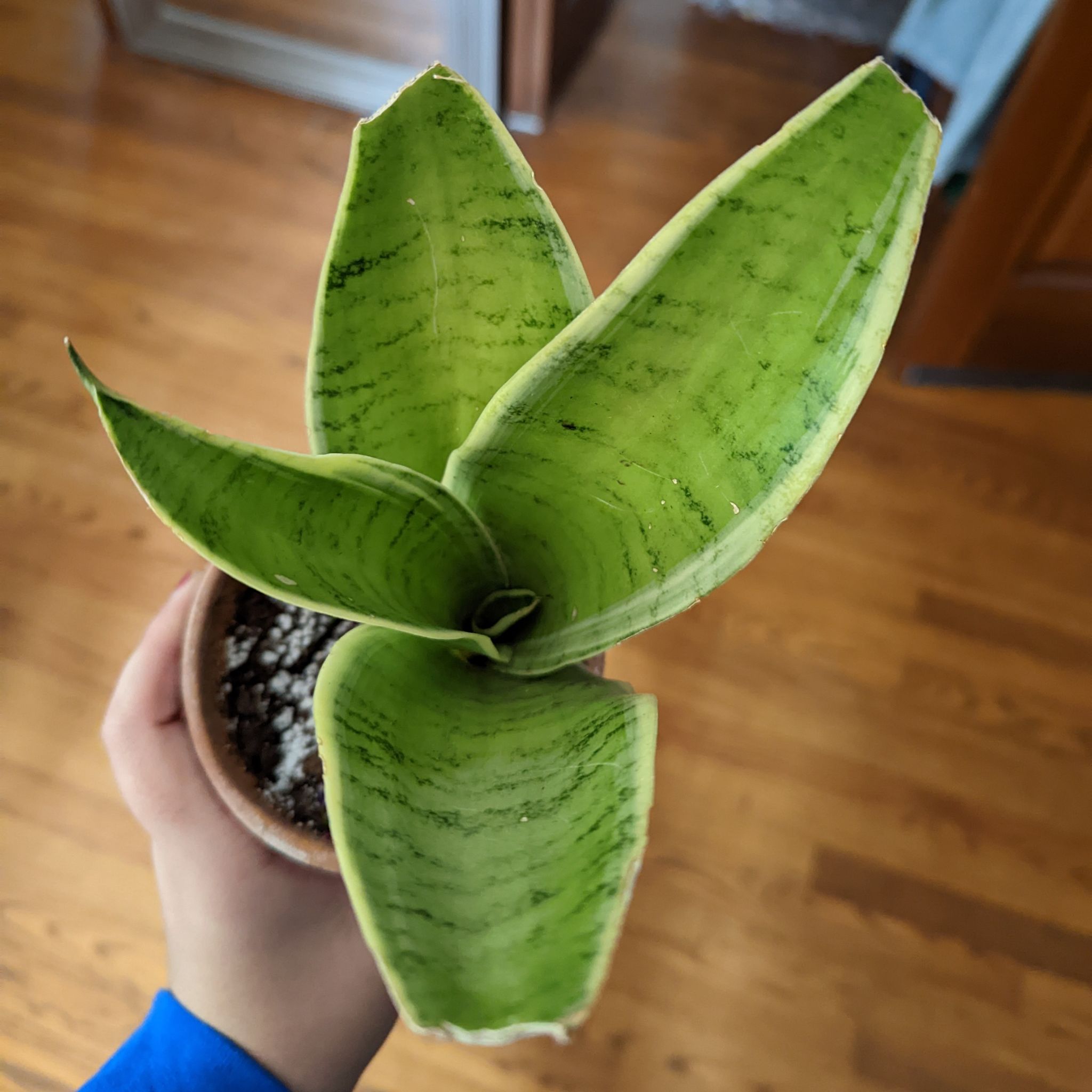 Photo from the post