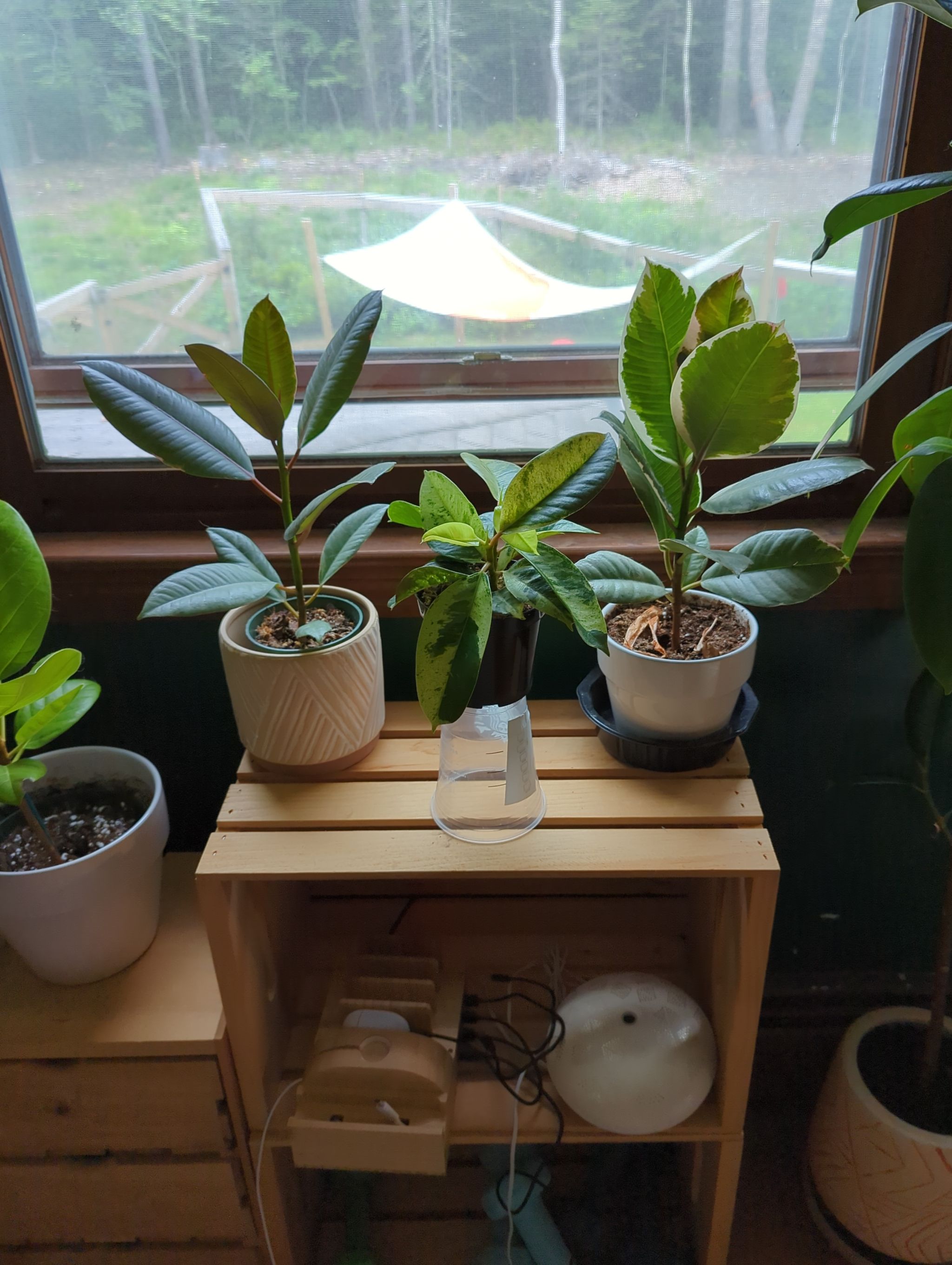 Photo from the post