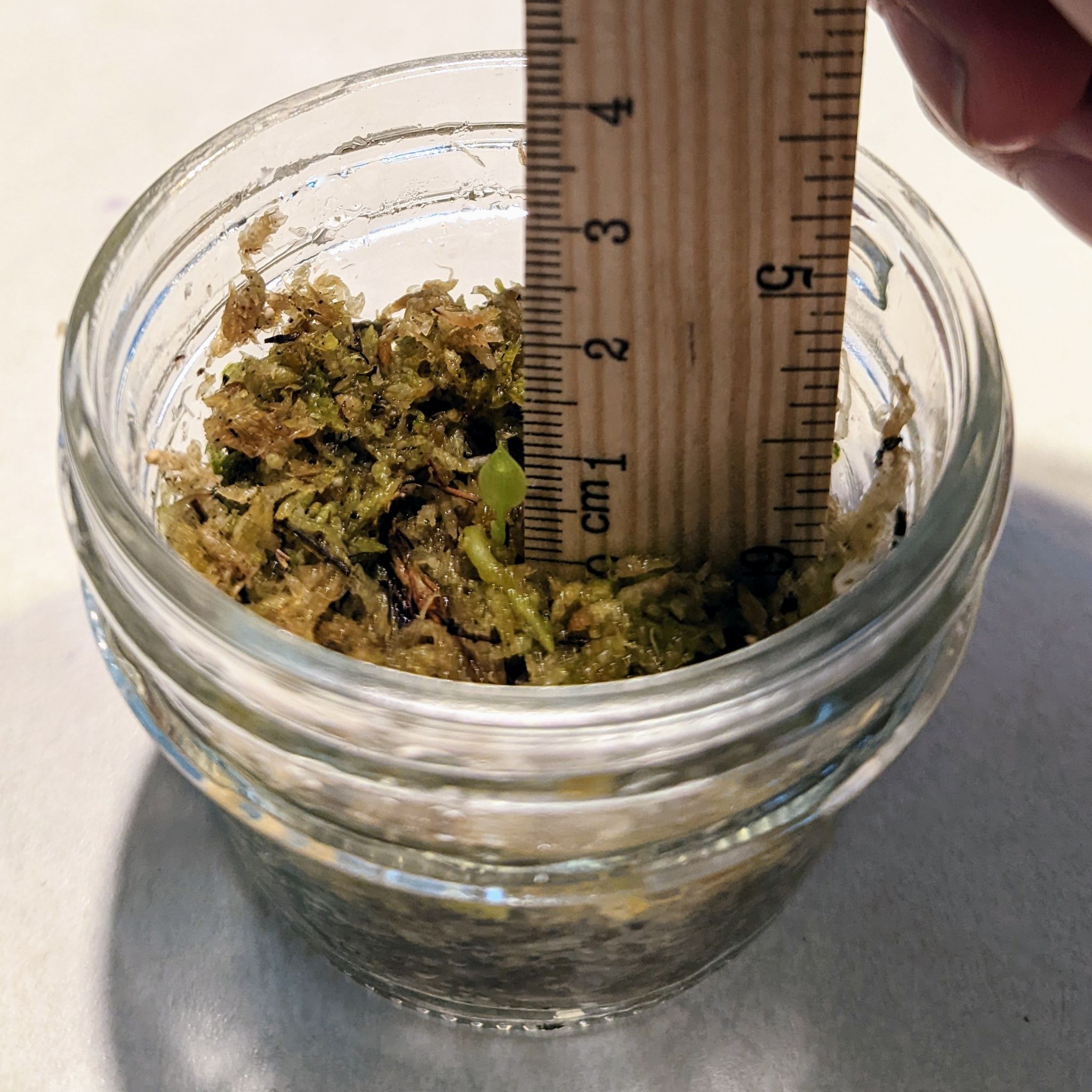 Photo from the post