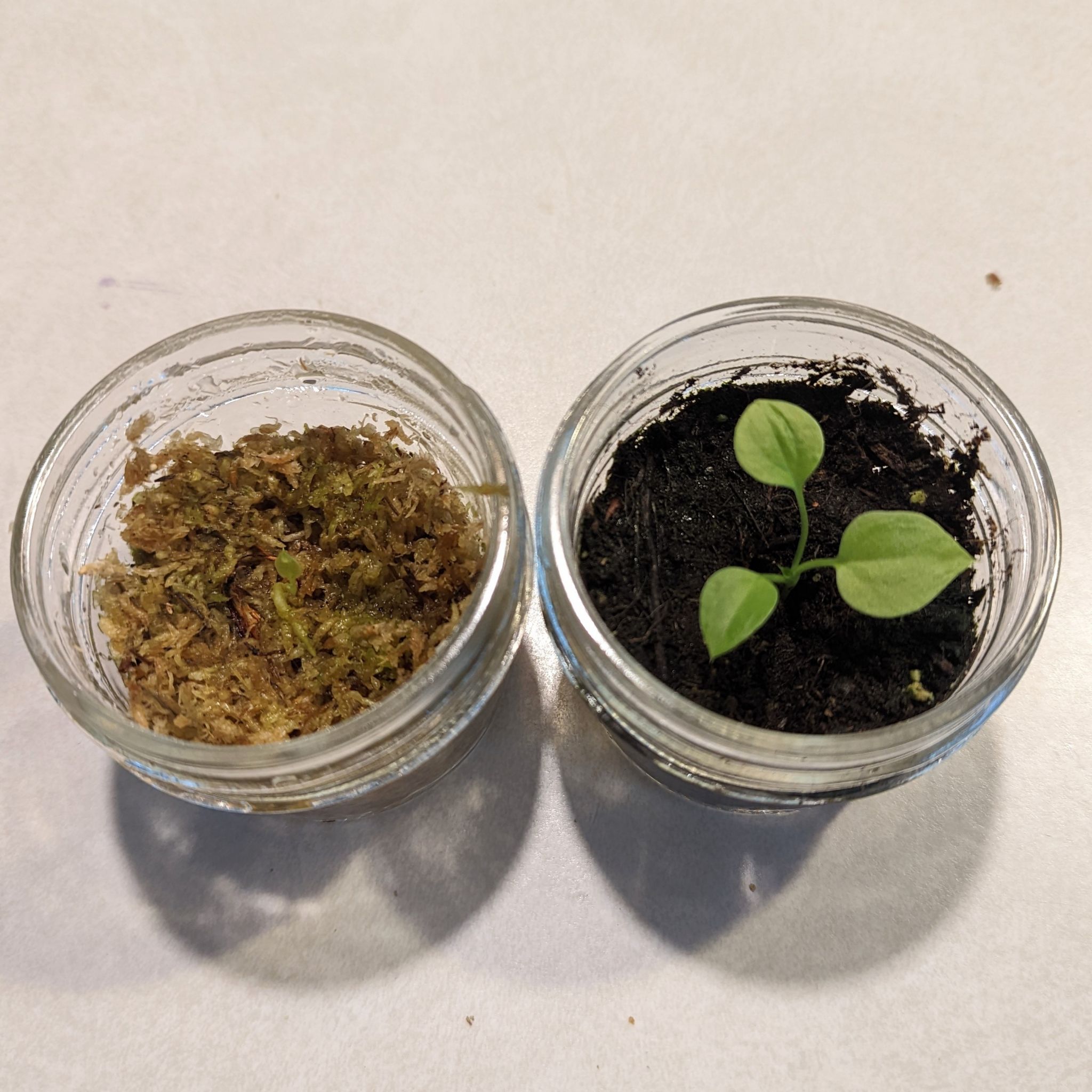 Photo from the post