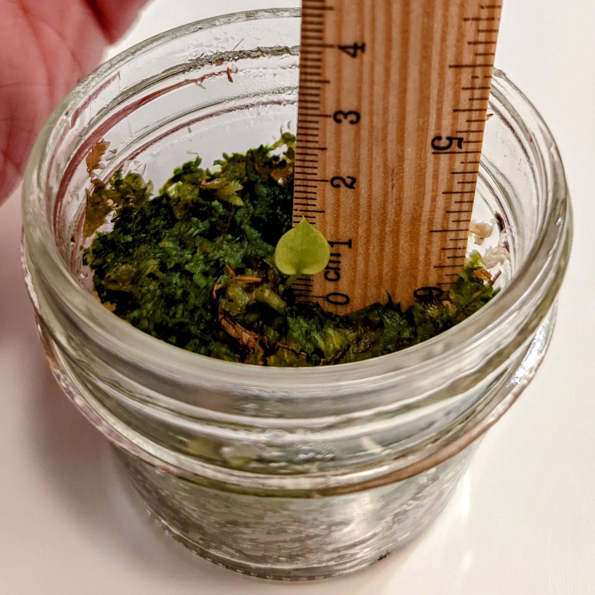 Photo from the post