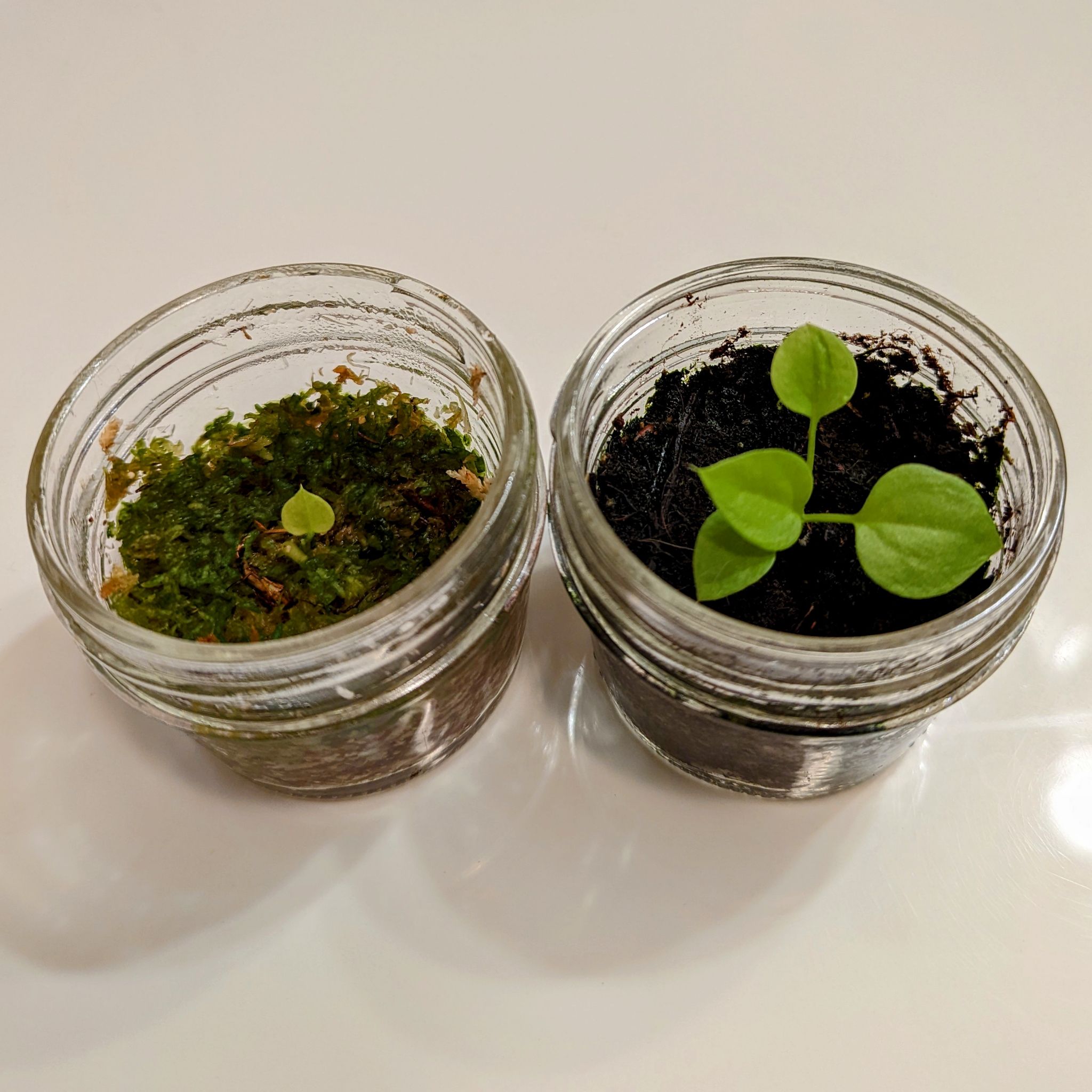 Photo from the post