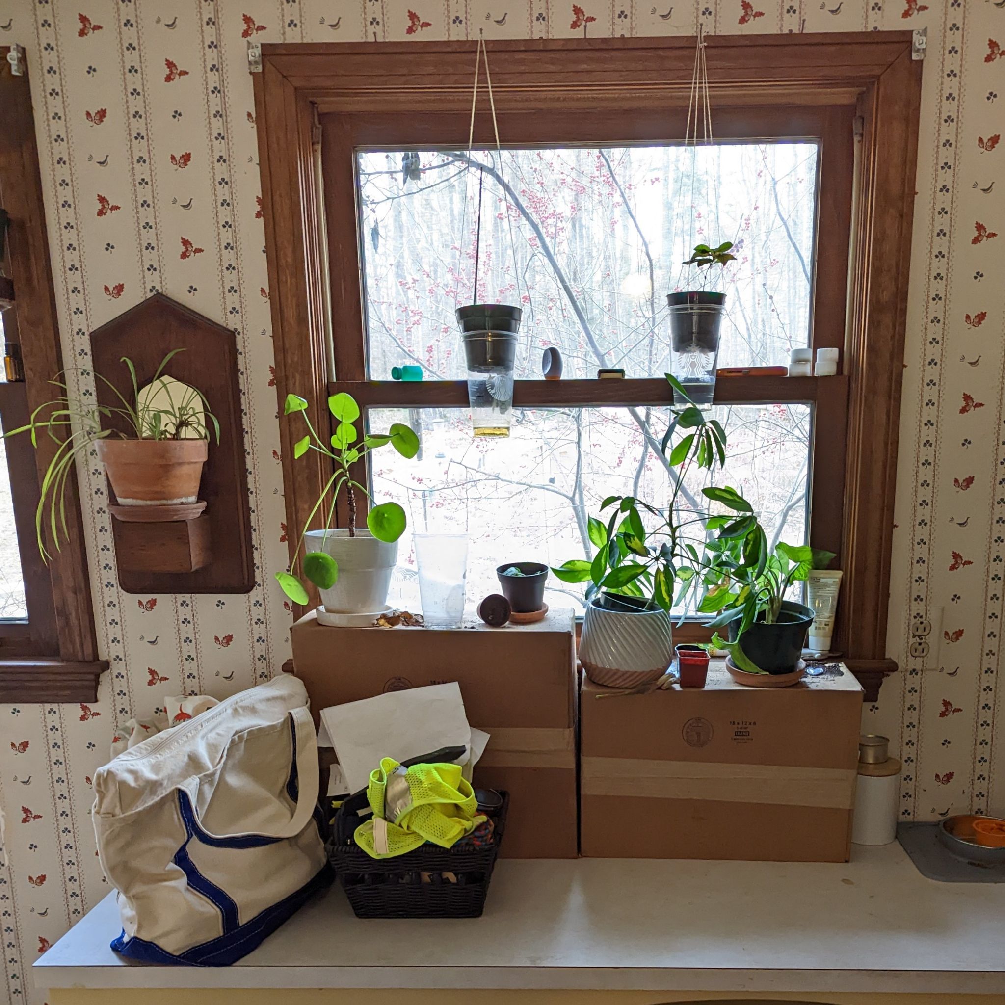 Photo from the post
