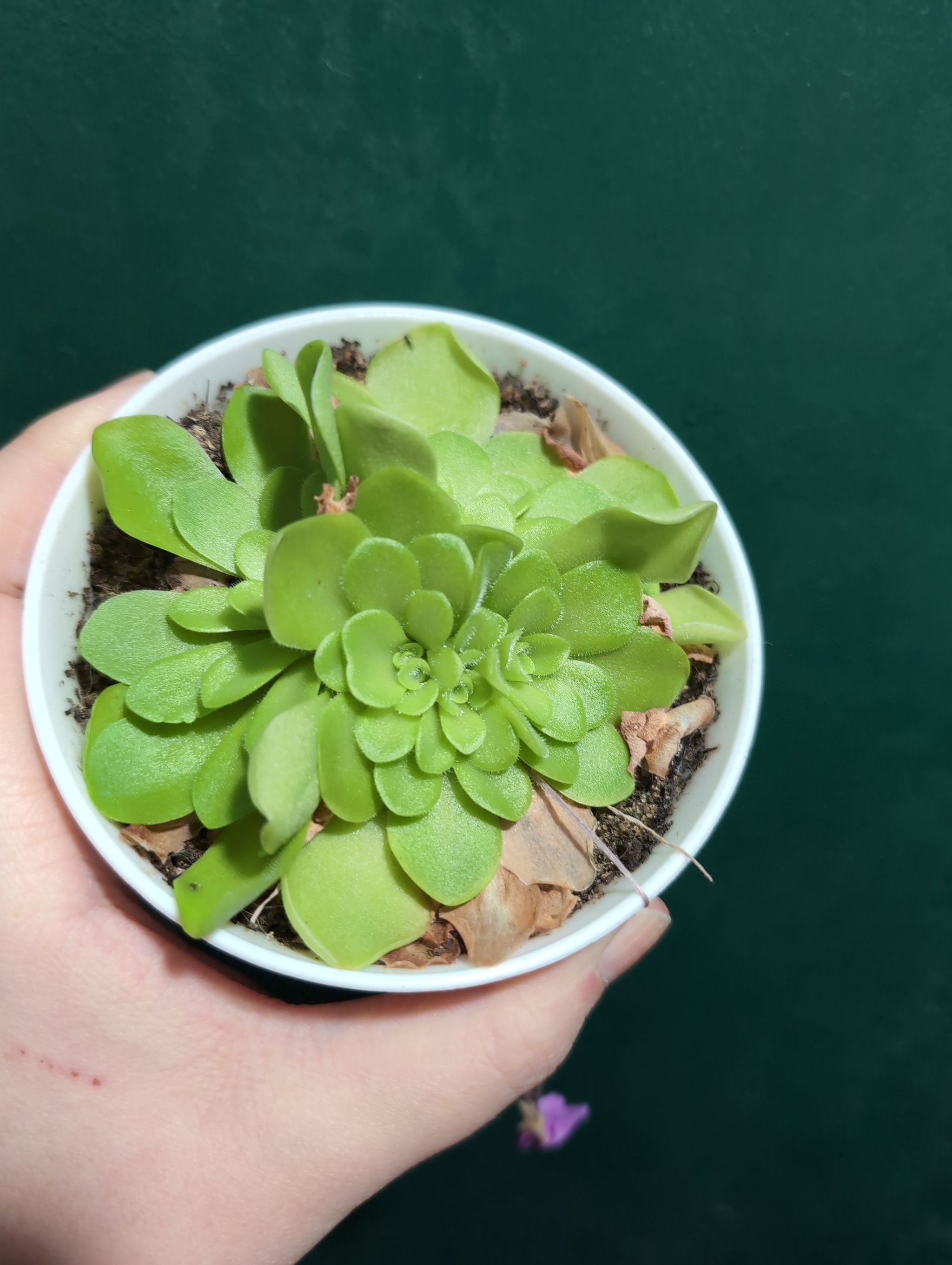 Photo from the post