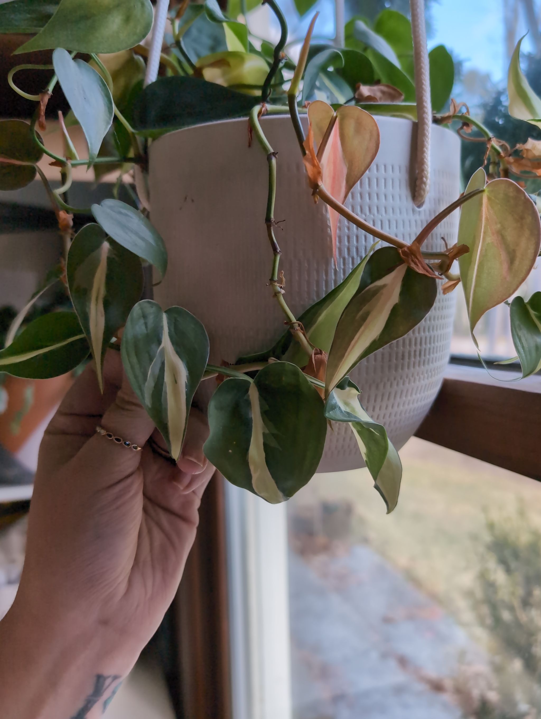 Photo from the post