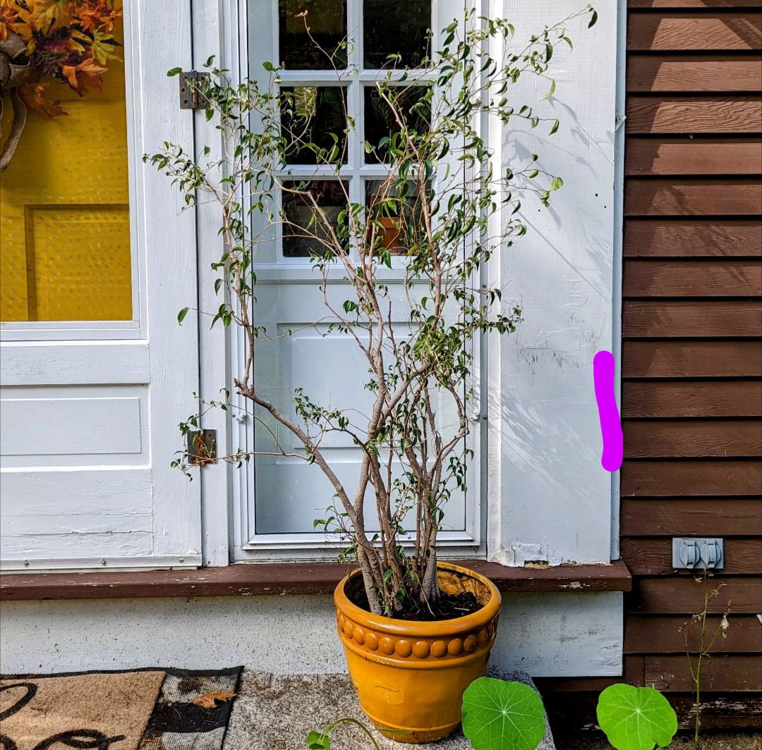 Photo from the post