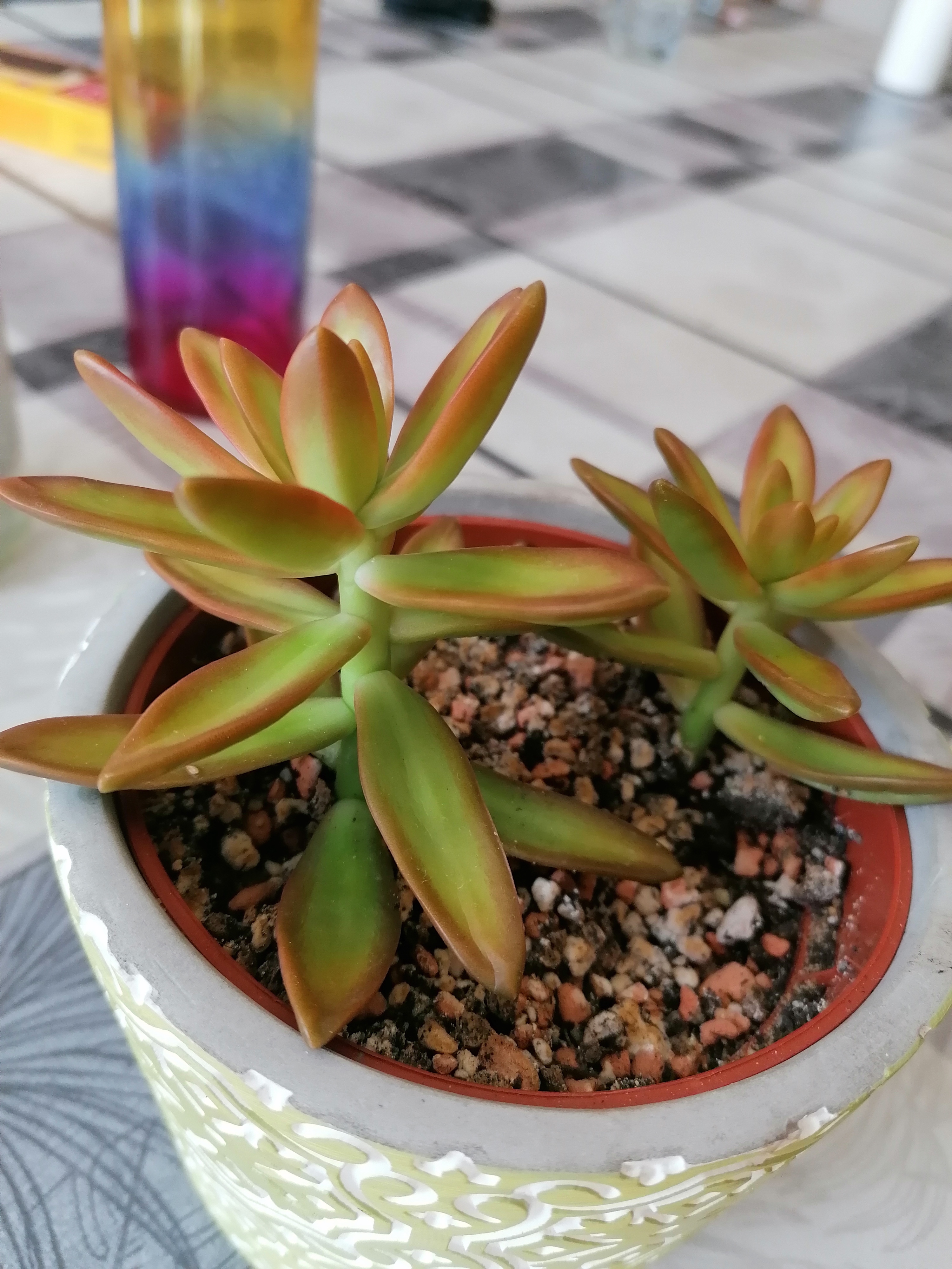 Photo from the post