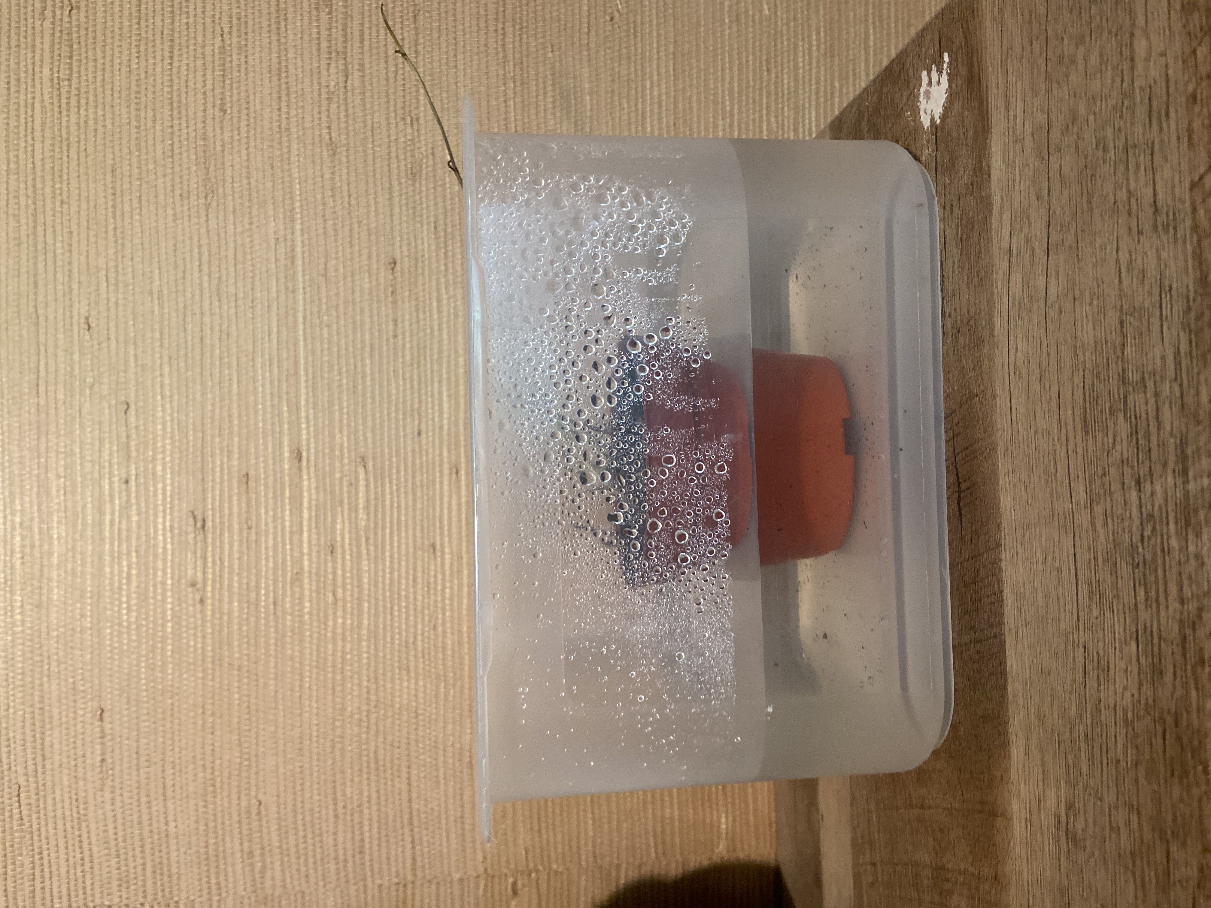 Photo from the post