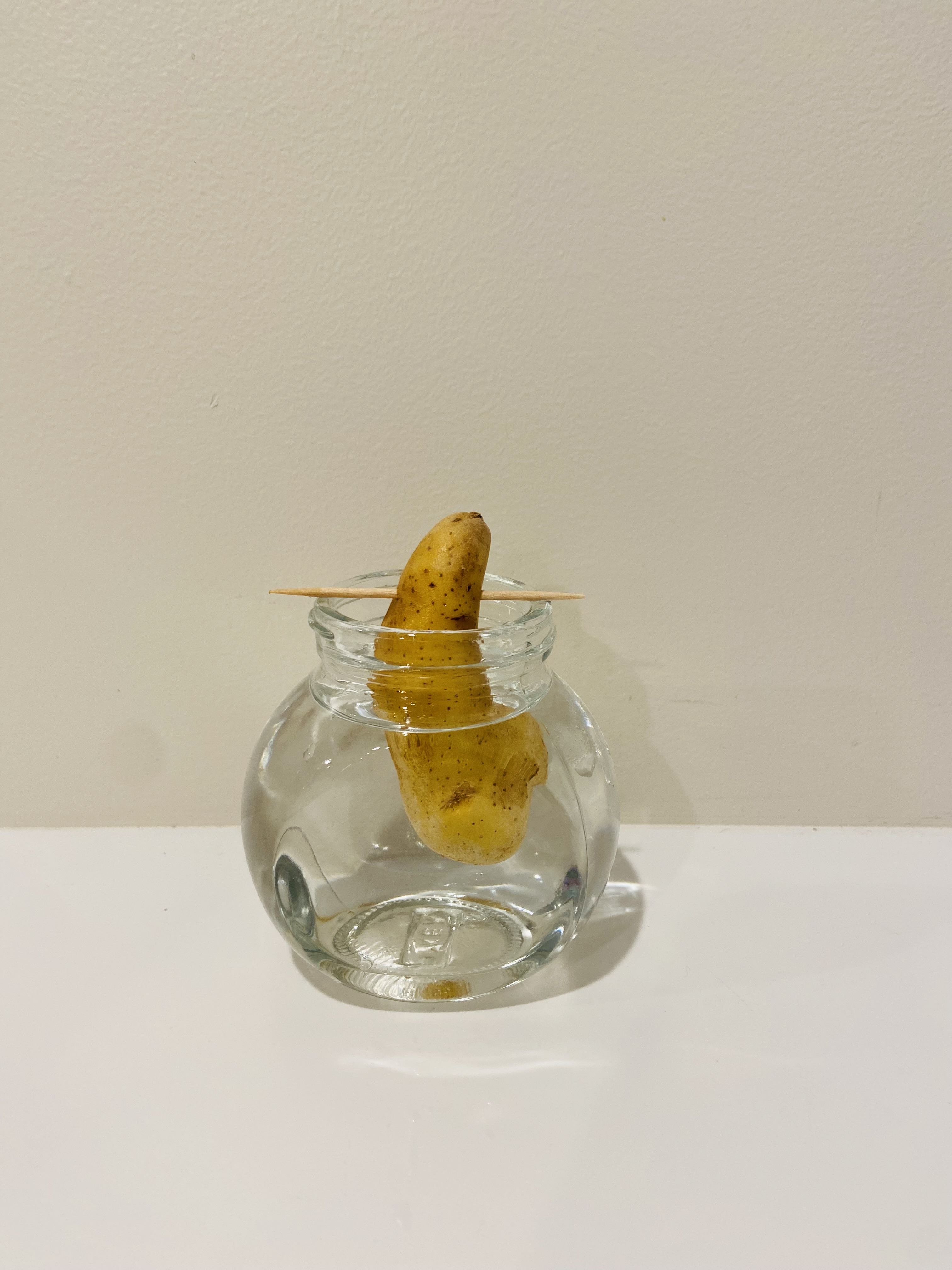 Photo from the post