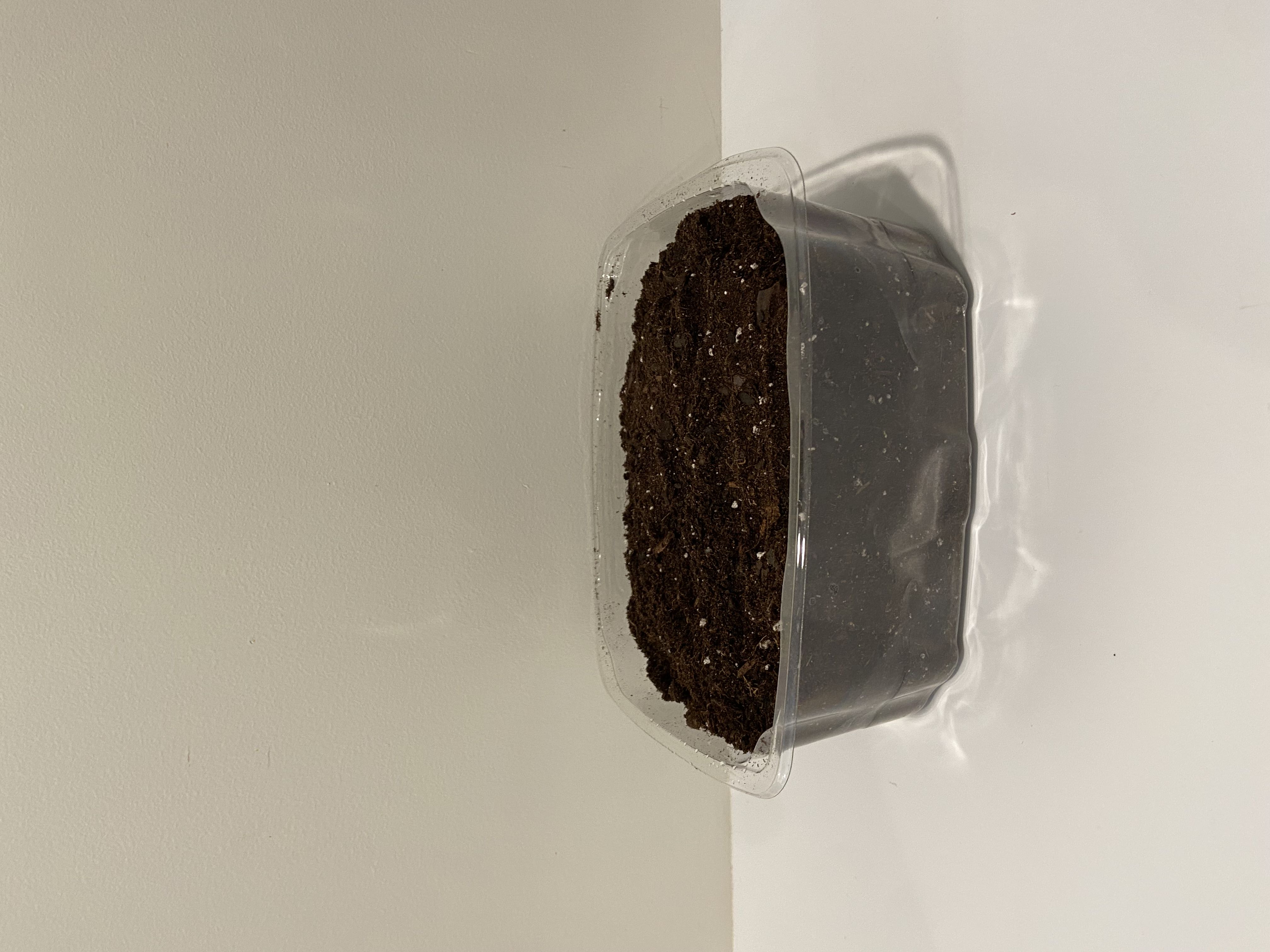 Photo from the post