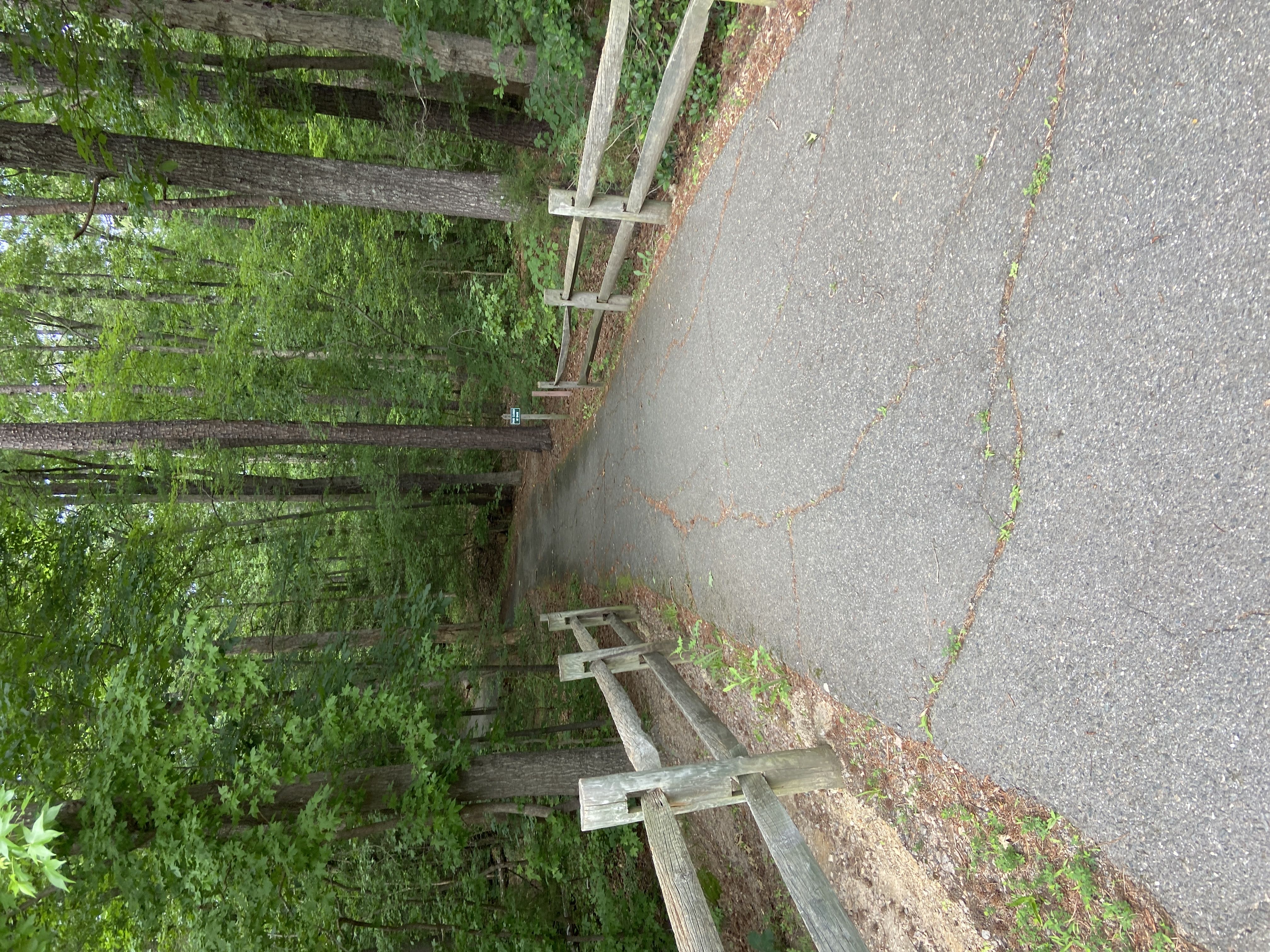 Photo from the post