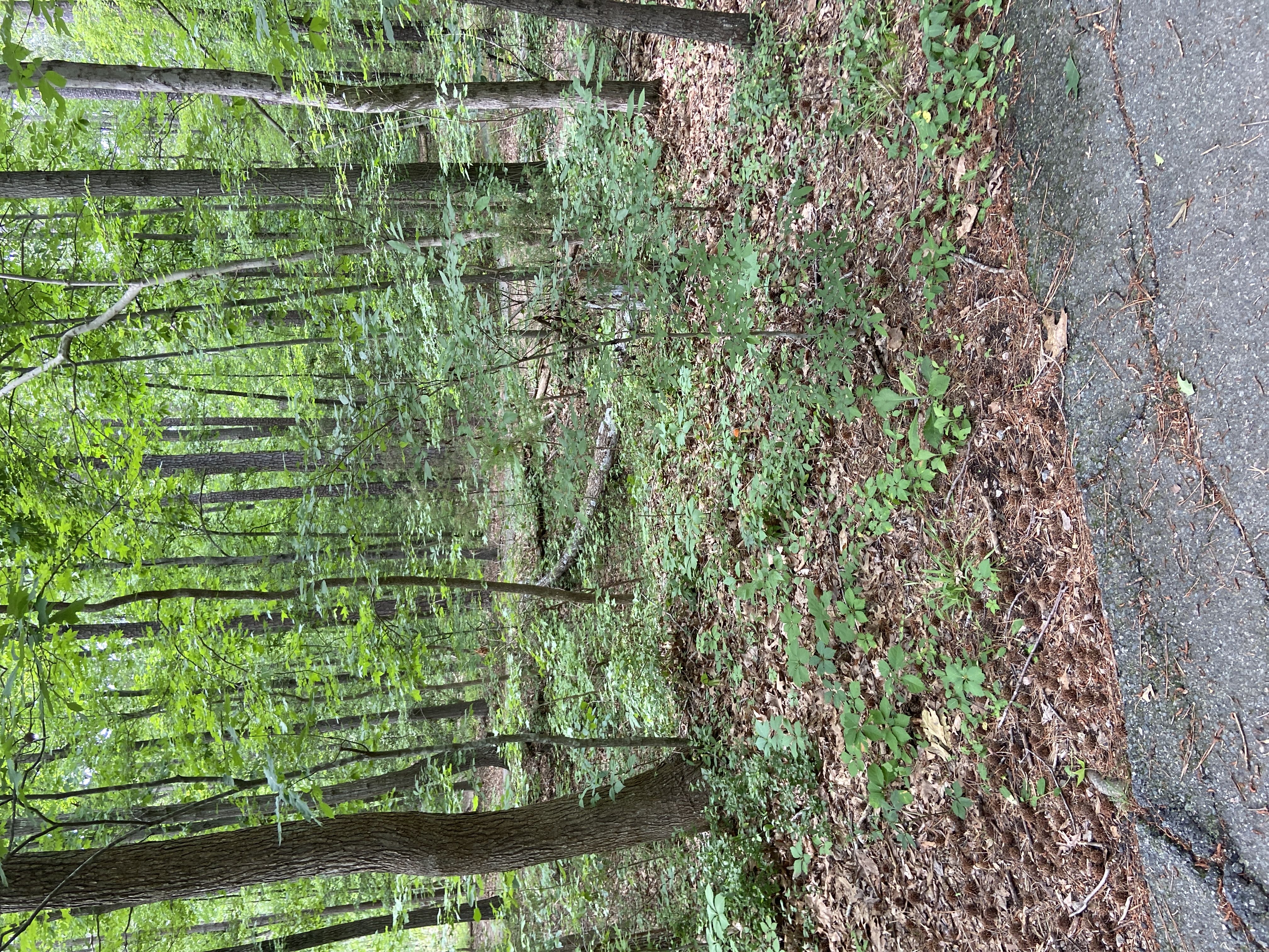 Photo from the post