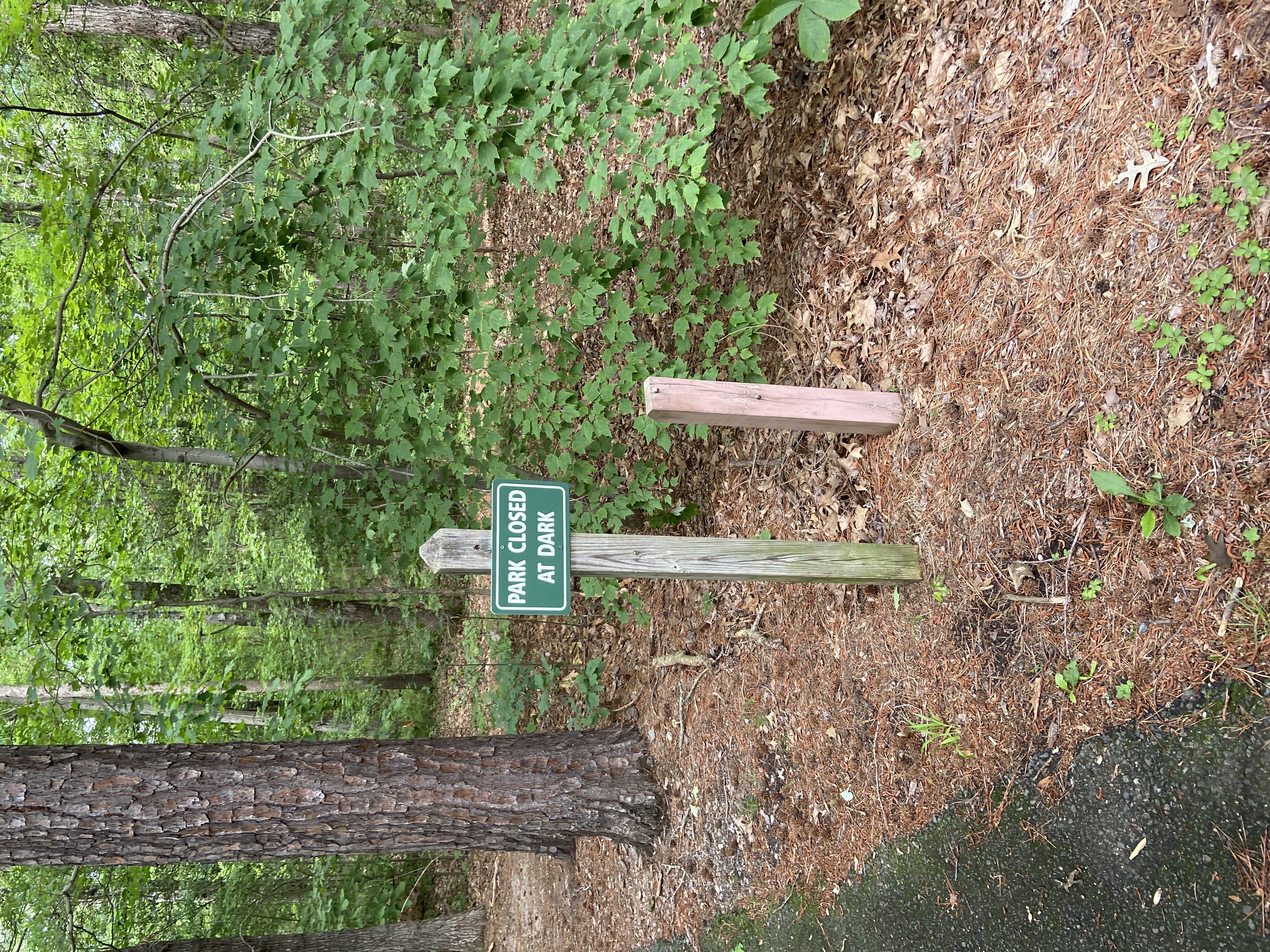 Photo from the post