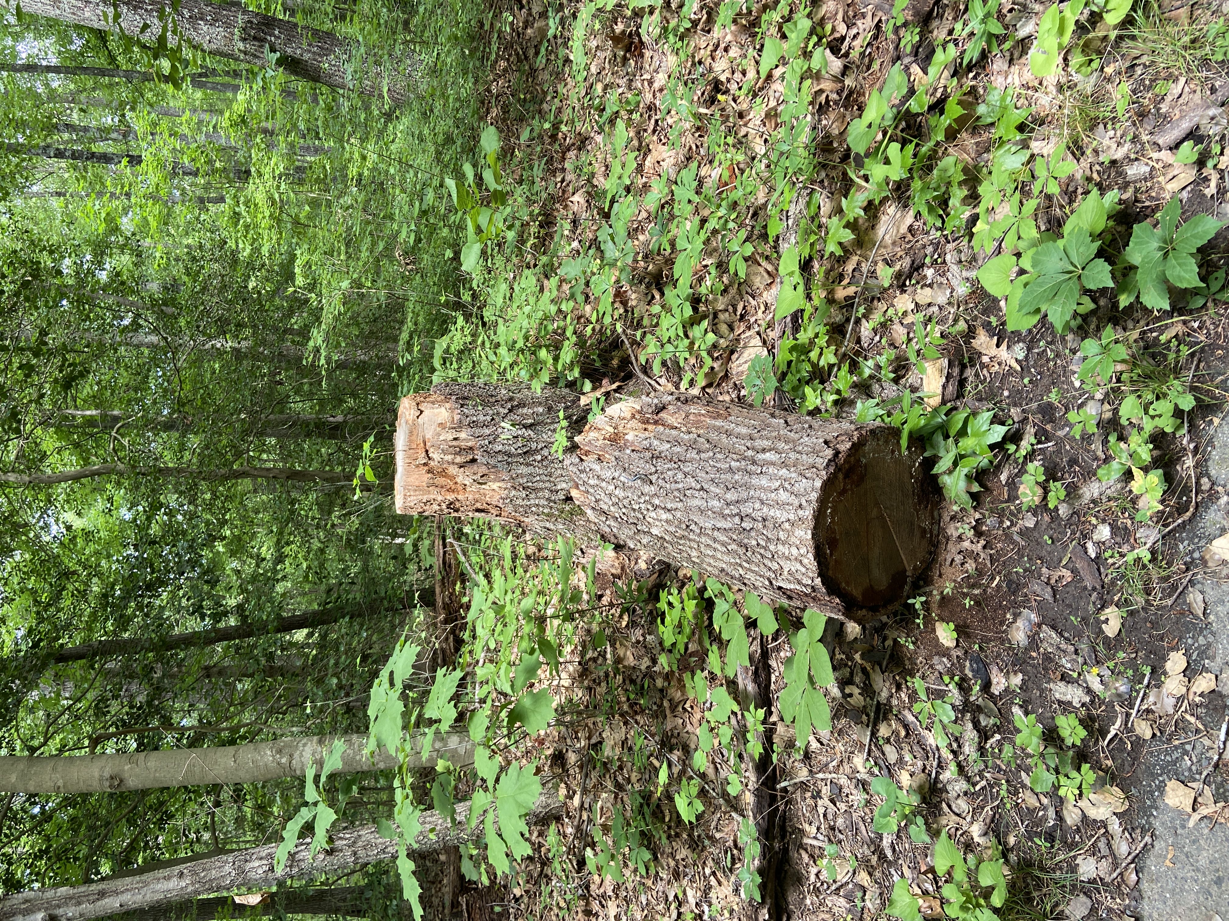 Photo from the post