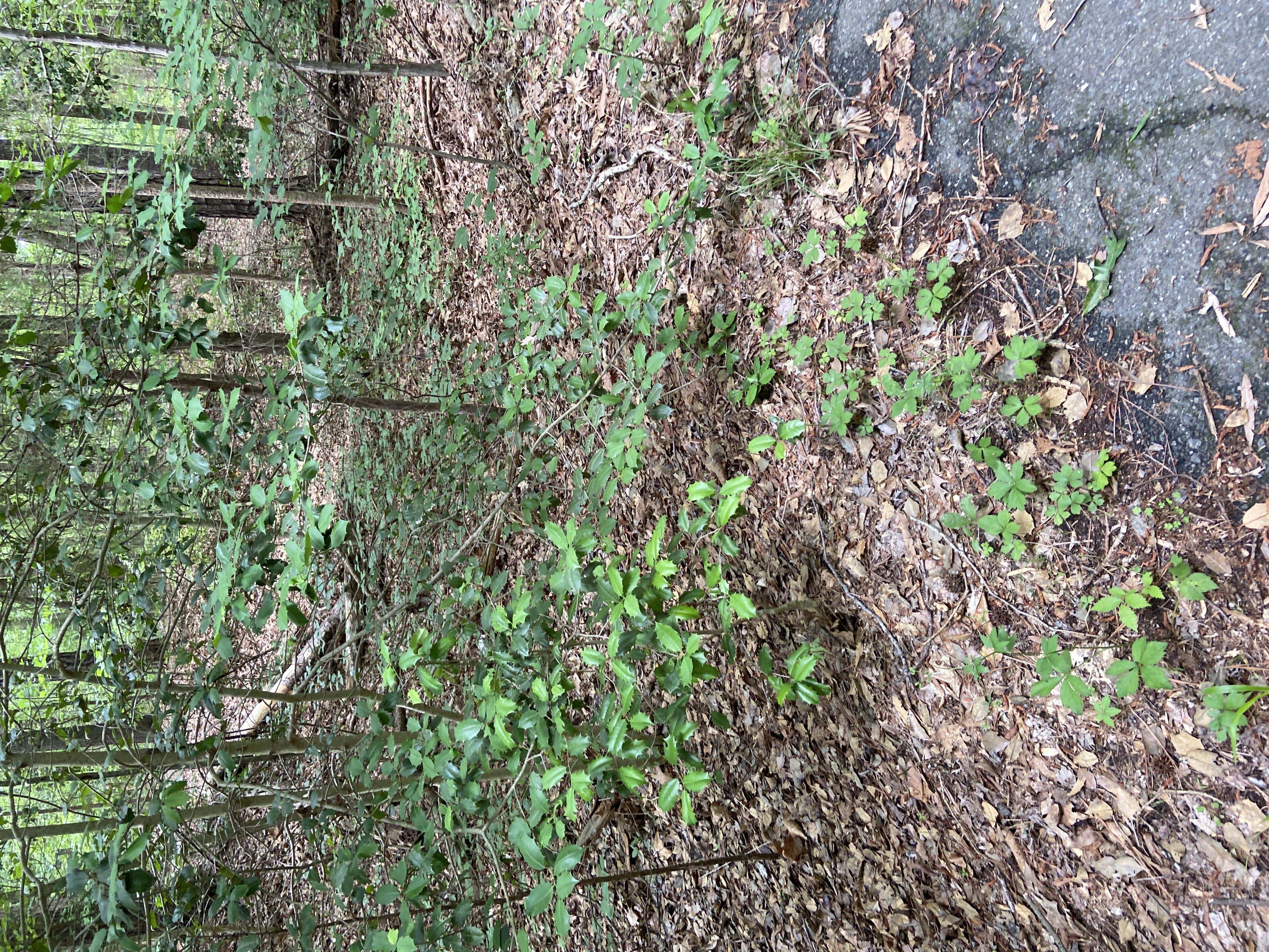 Photo from the post