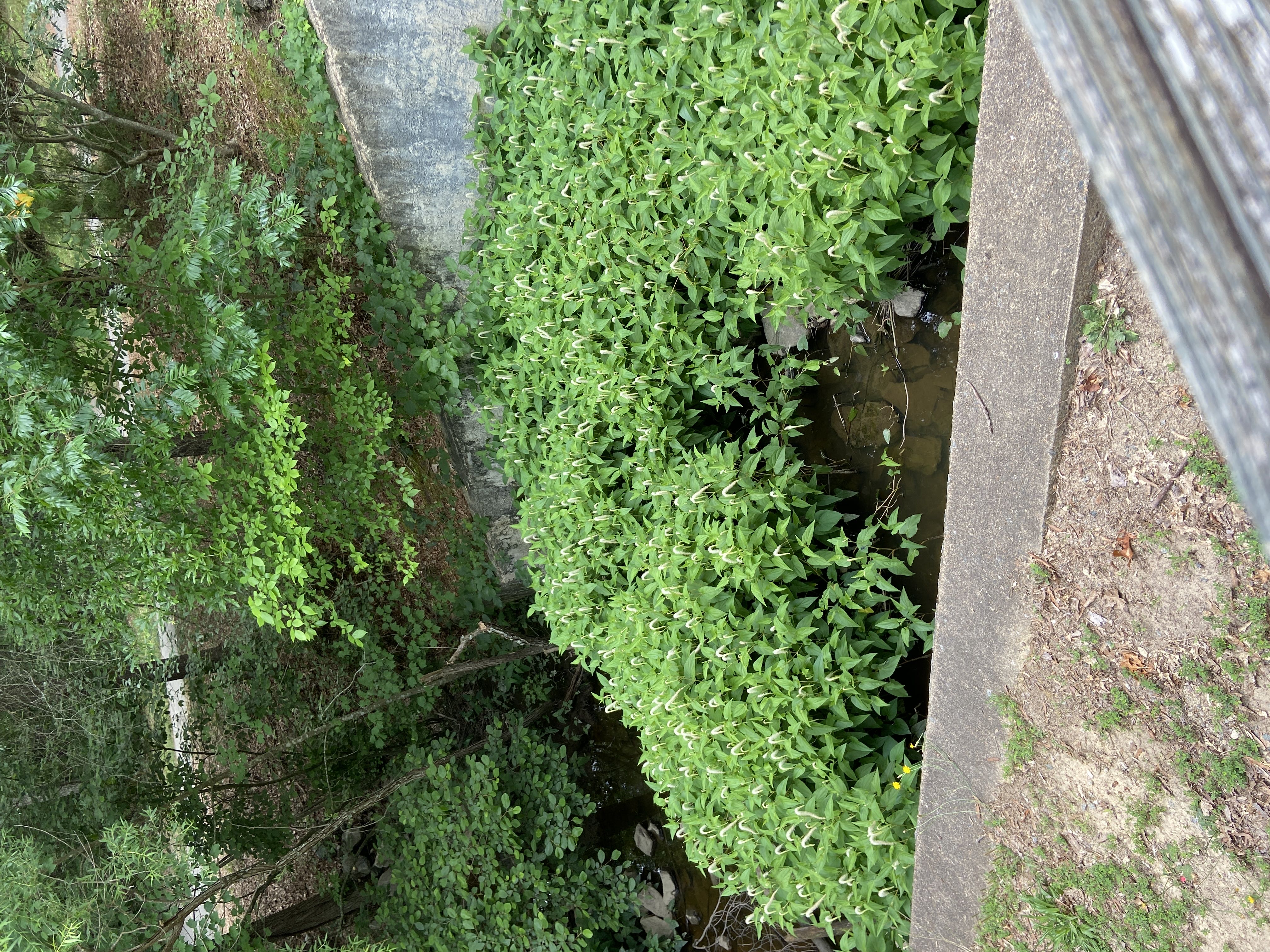 Photo from the post