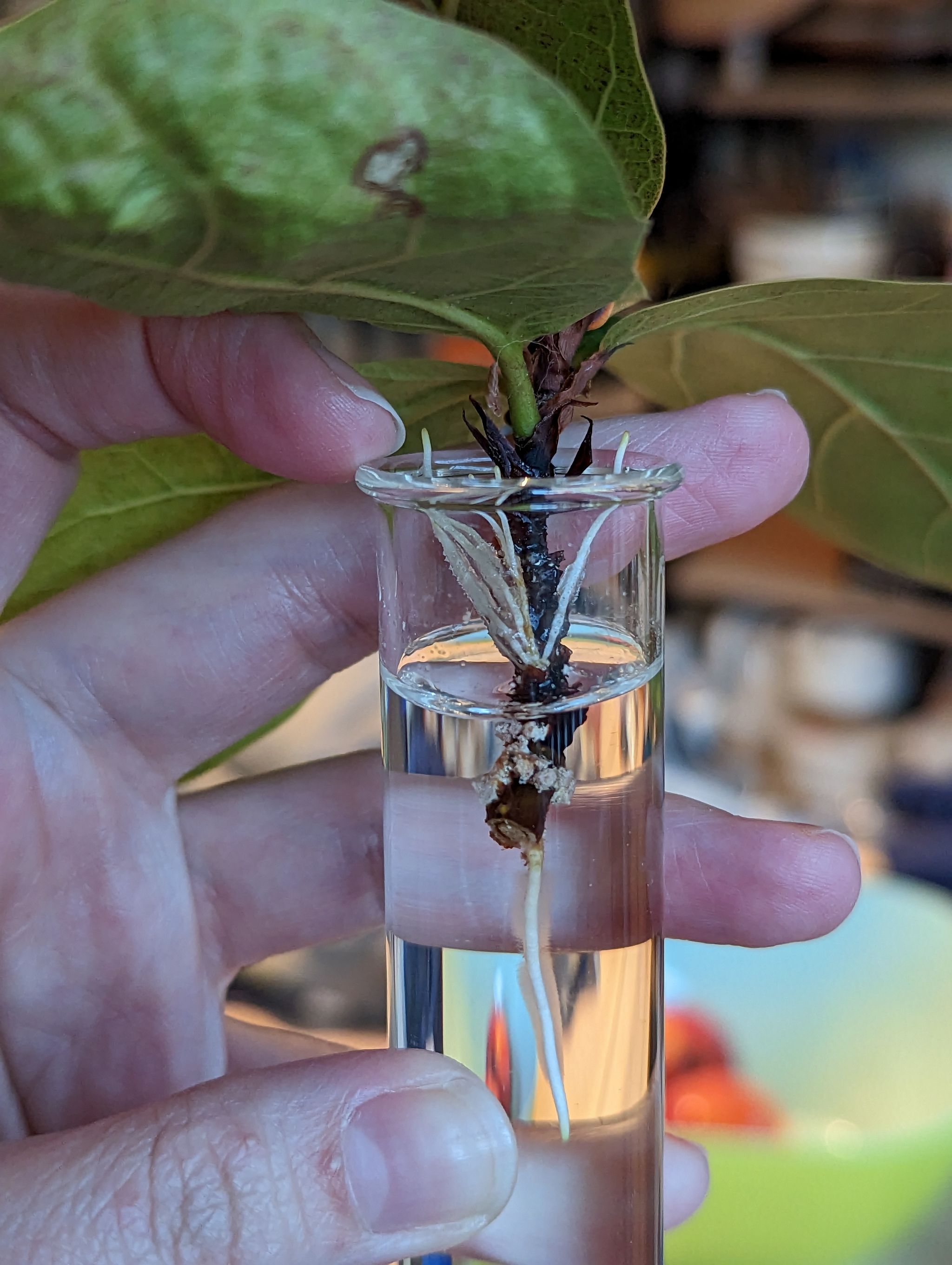 Photo from the post