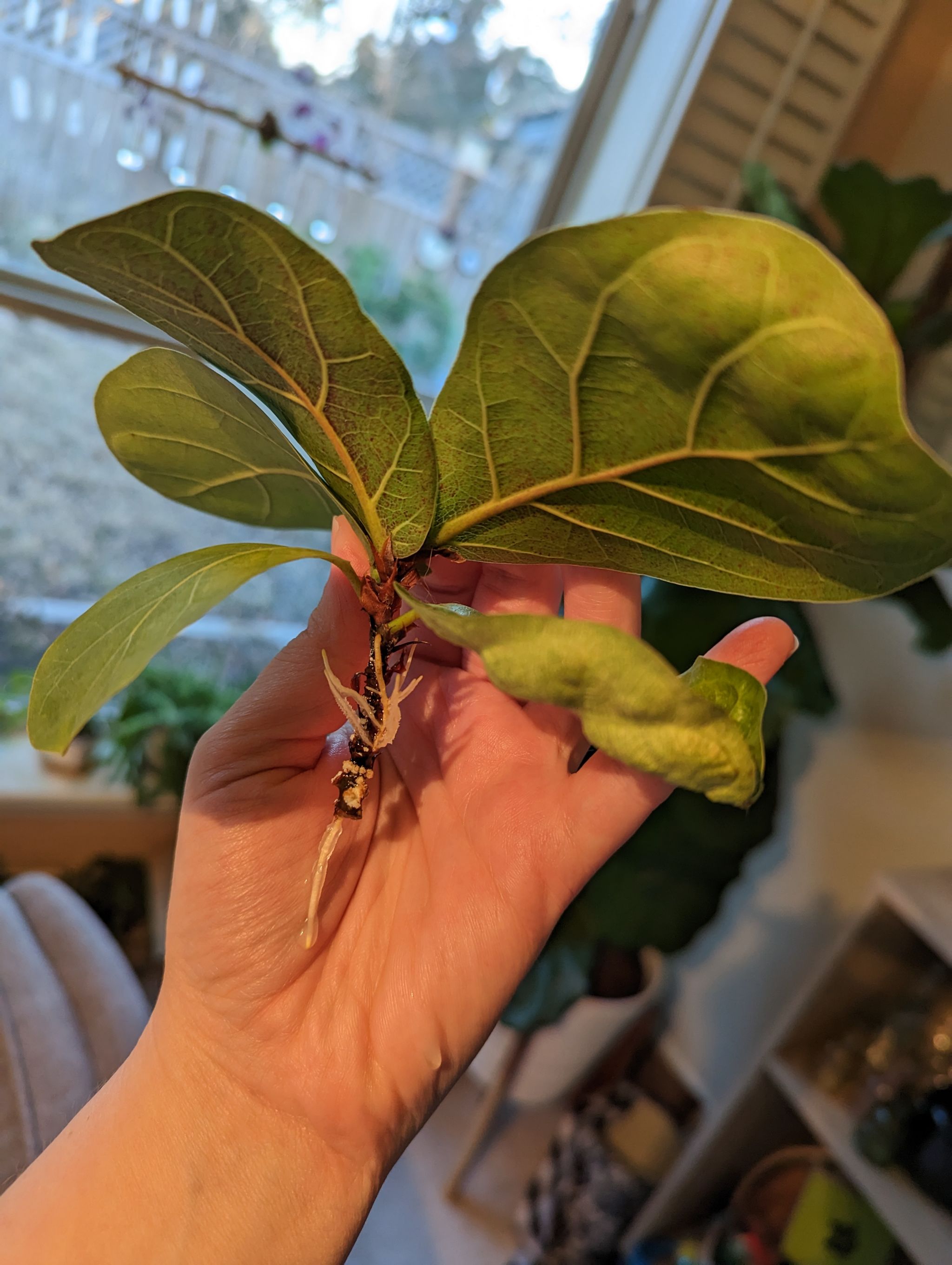 Photo from the post