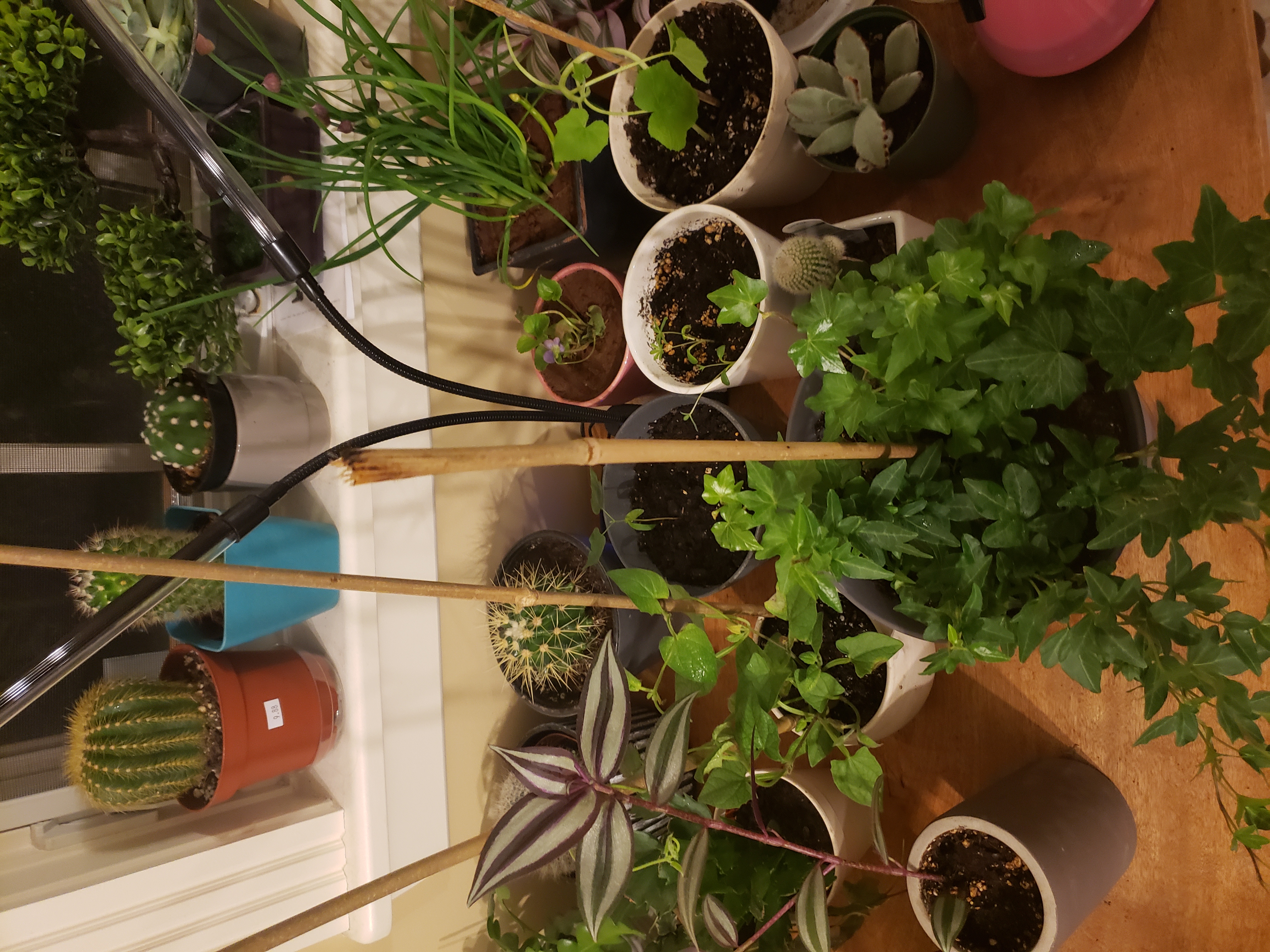 Photo from the post